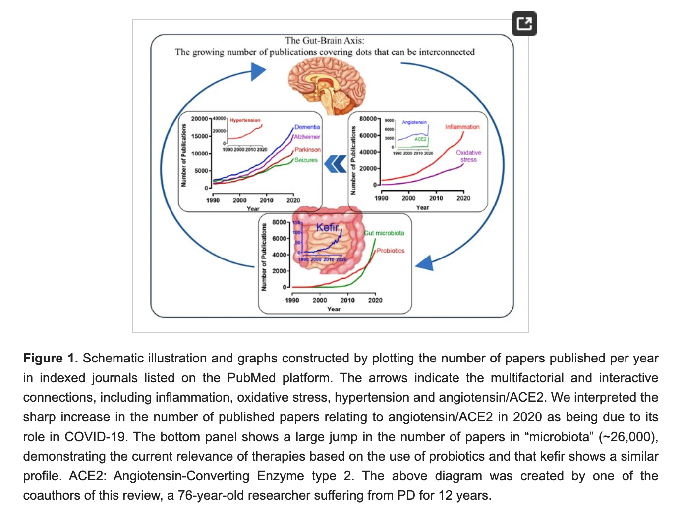 Exploring the Gut-Brain Connection: Kefir, Probiotics, and Neurodegenerative Diseases