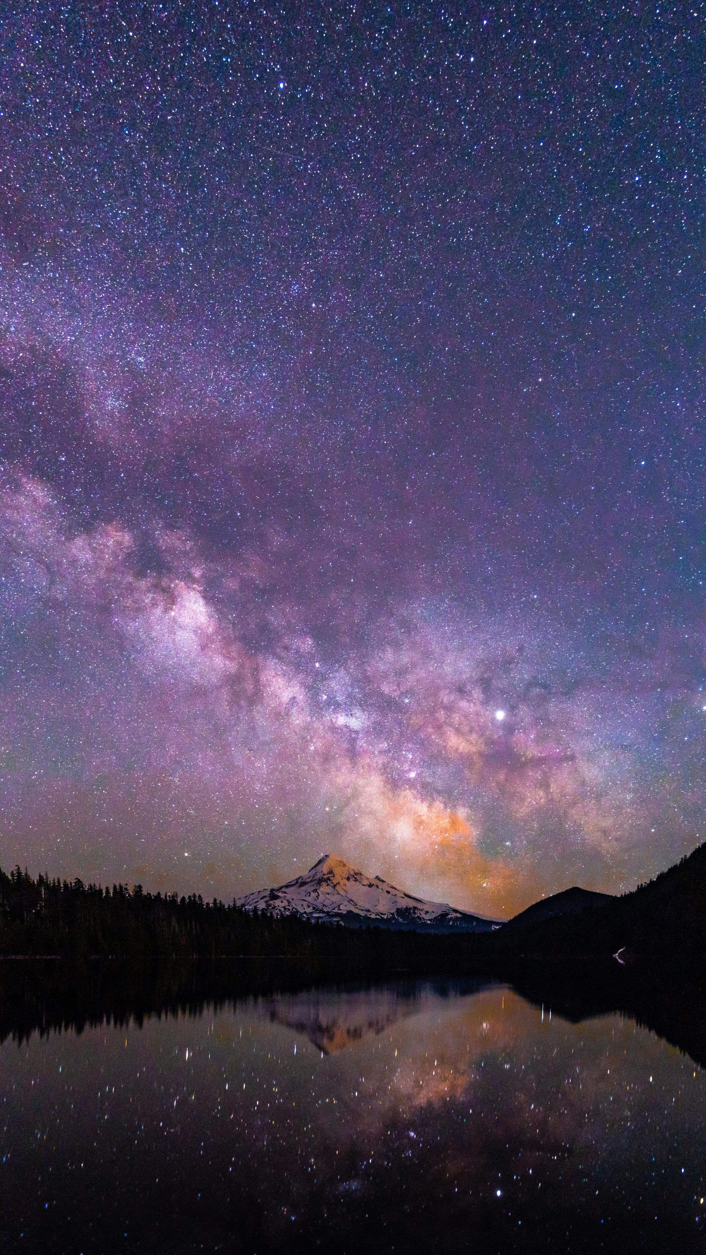 A Stunning View of the Night Sky