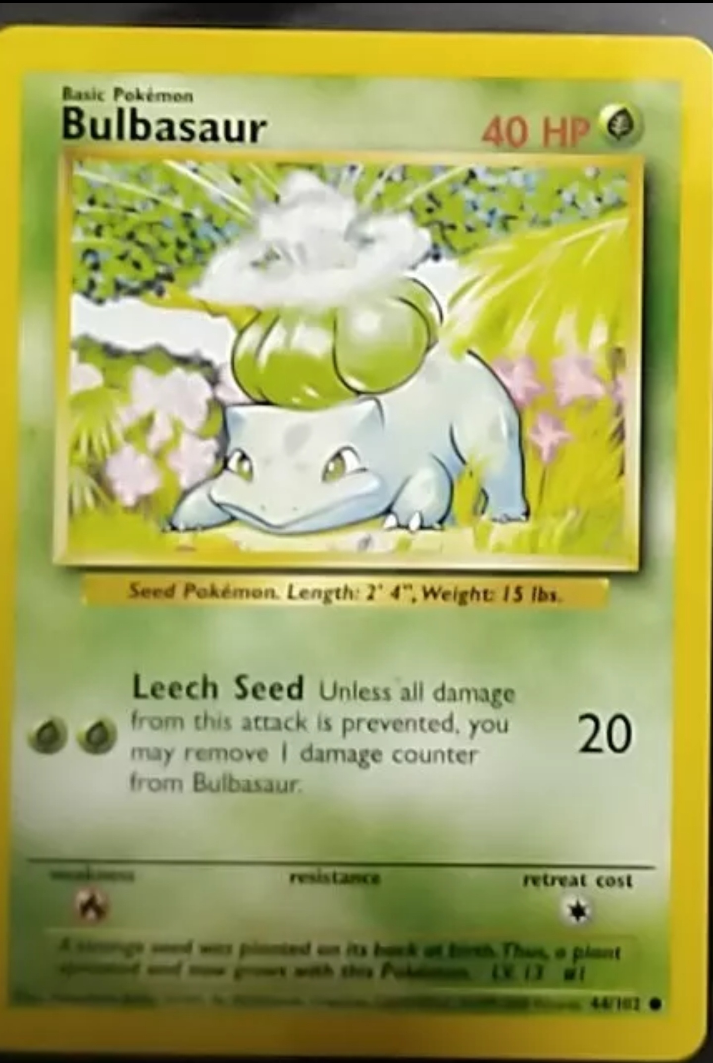 Meet Bulba: The Meme That Needs No Introduction