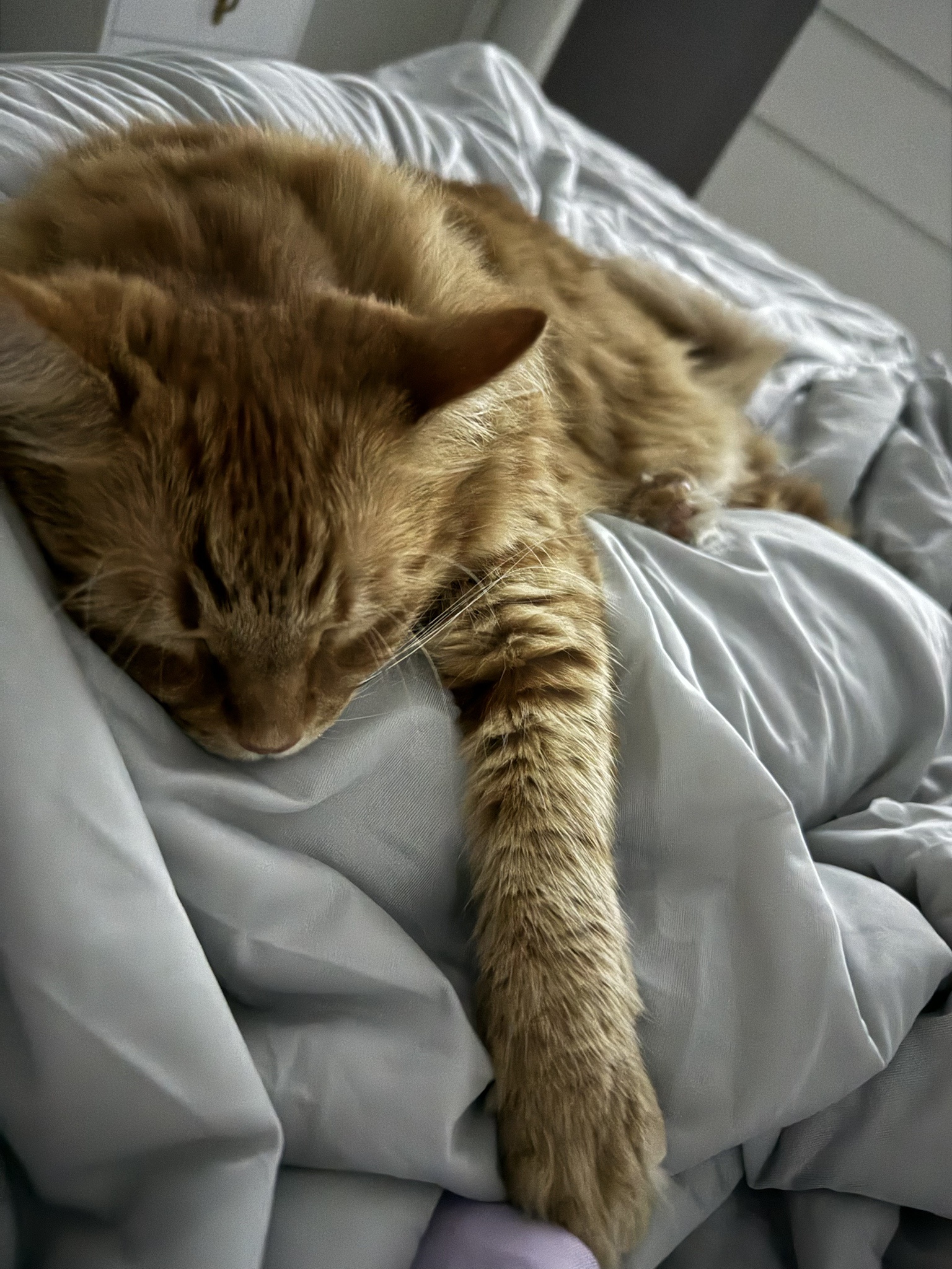 Toph's Journey: Day 68 Update