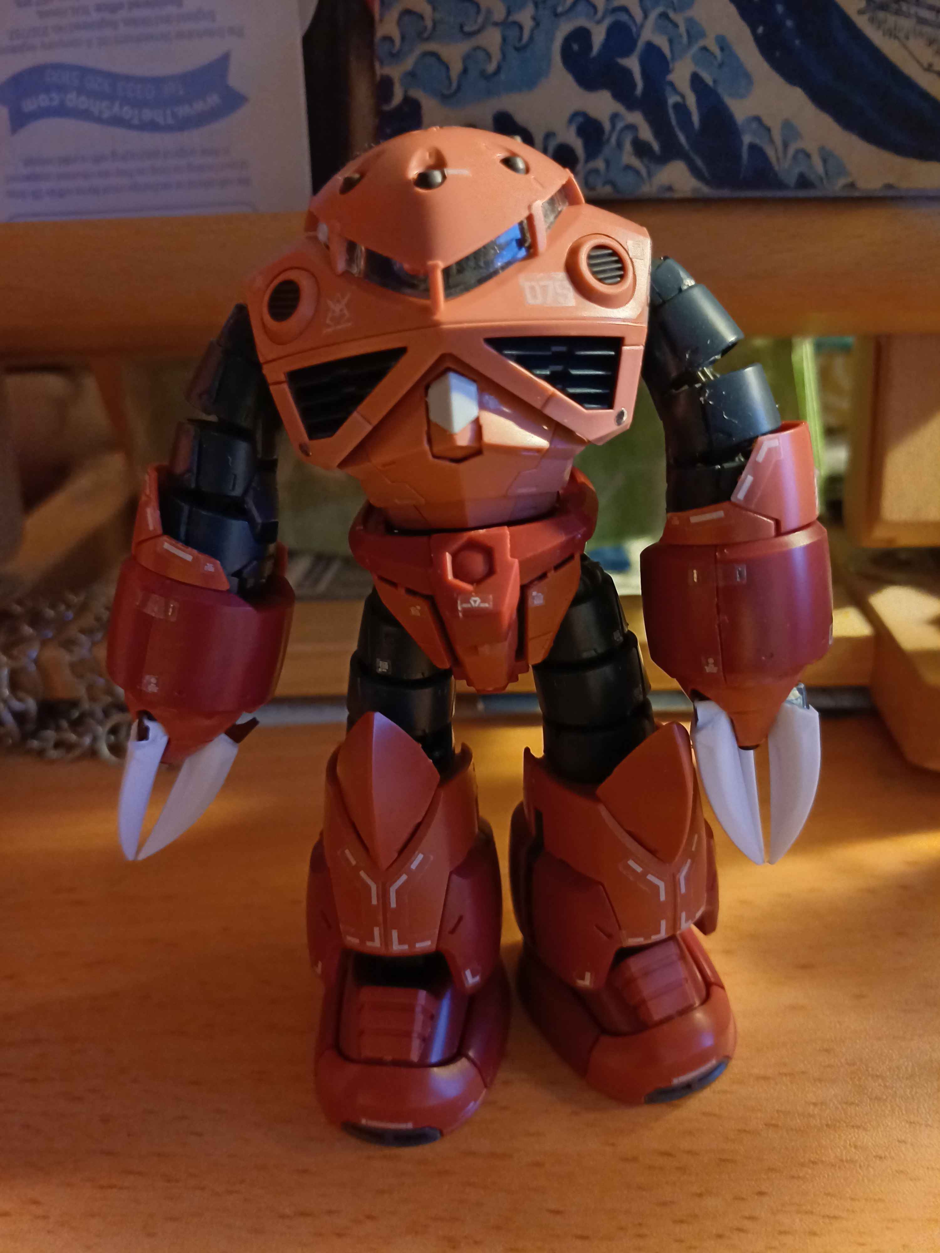 Behold Char's Custom Z'Gok masterpiece!
