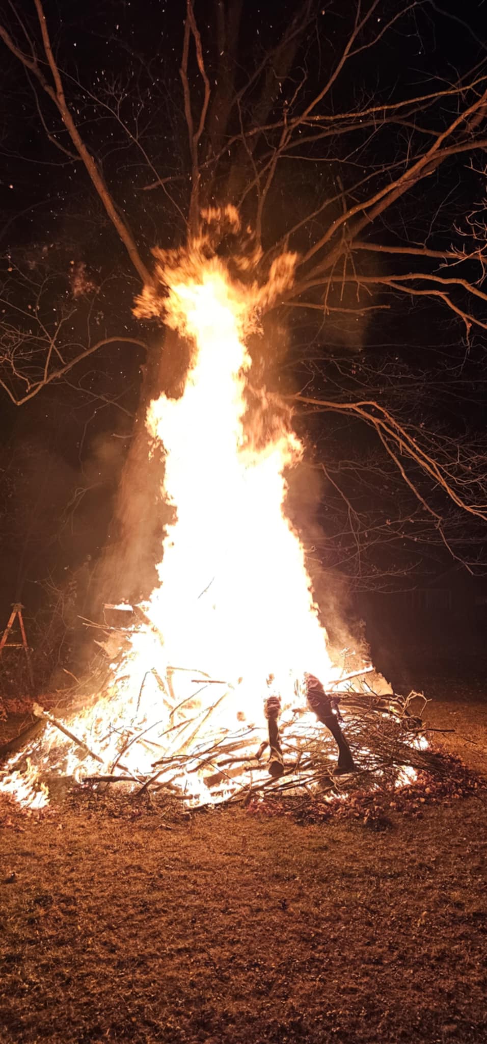 The Legend of Guy Fawkes: A Historical Icon