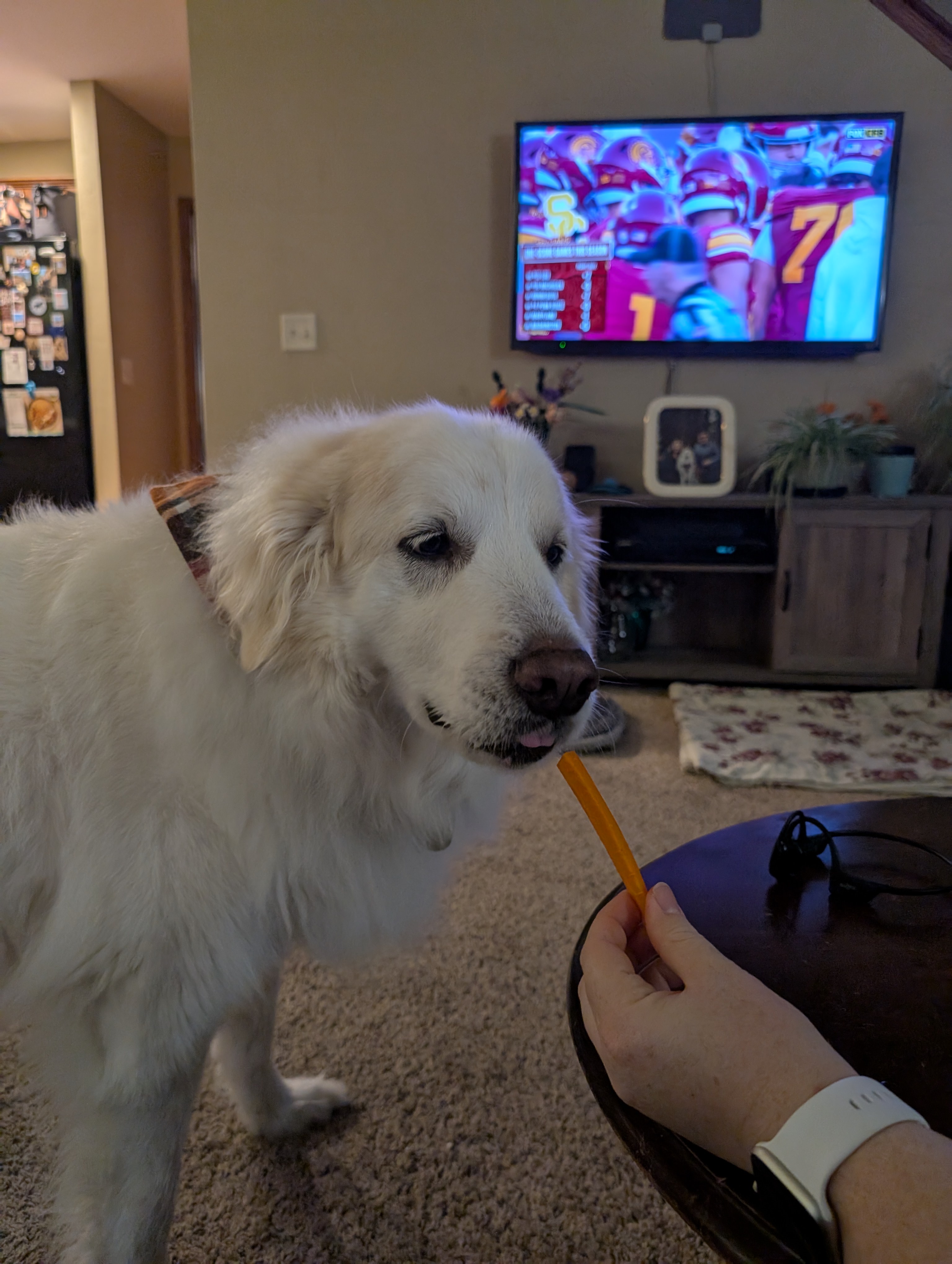 Winter Chronicles: Day 783 of the Chill