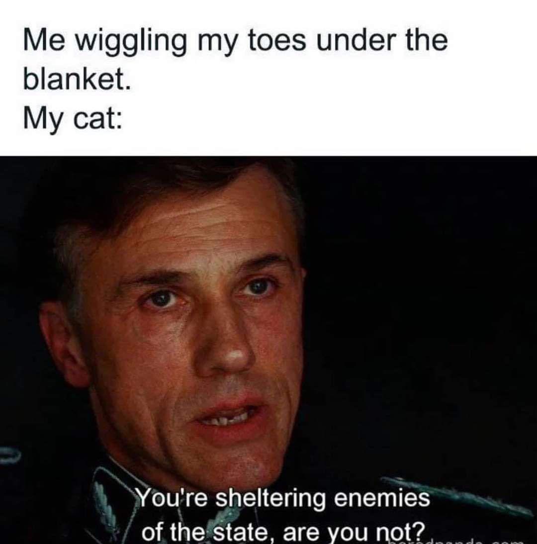 And Then, the Epic Pounce!