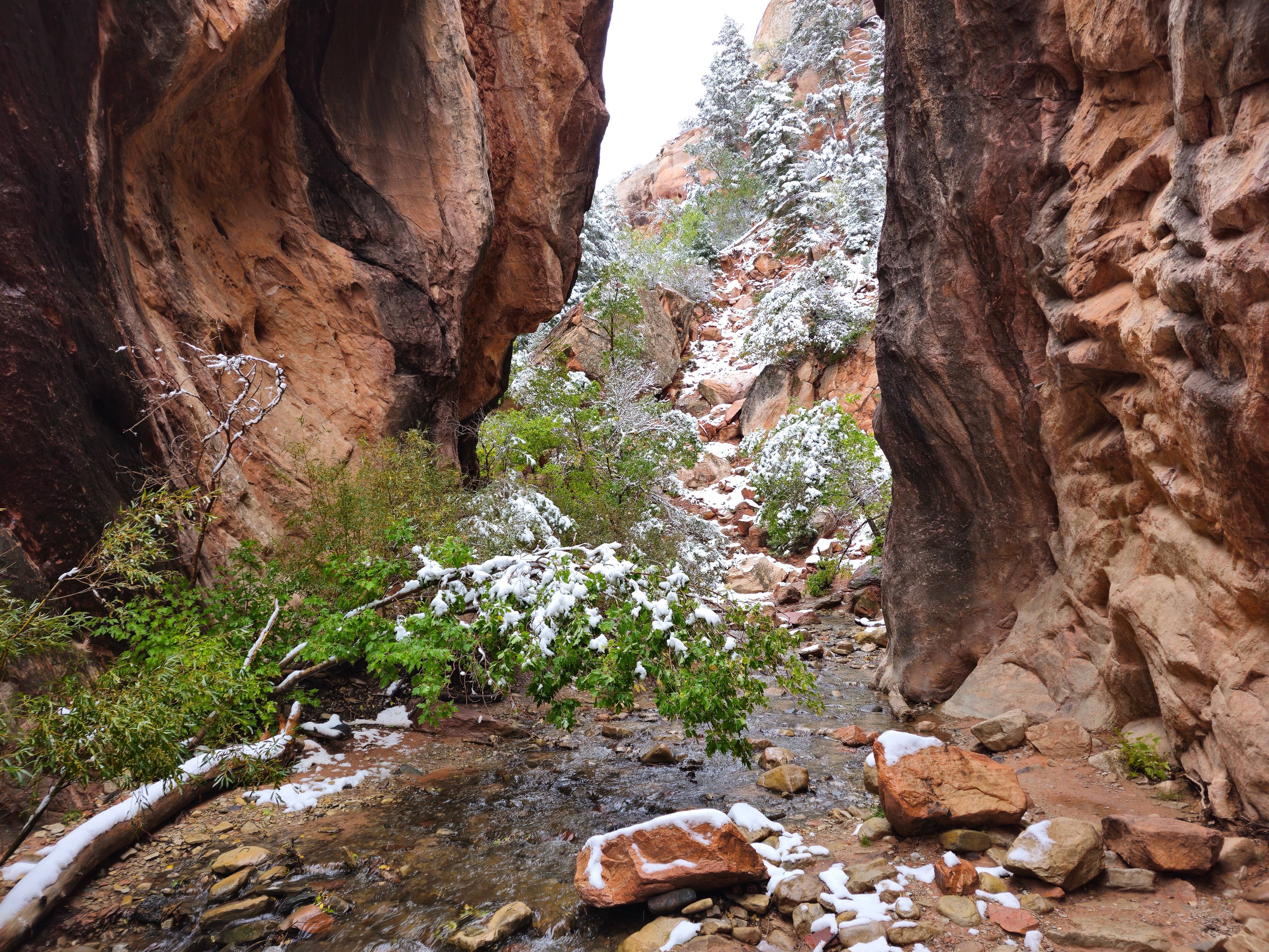 Exploring the Breathtaking Kanarra Falls Canyon in Kanarraville, UT