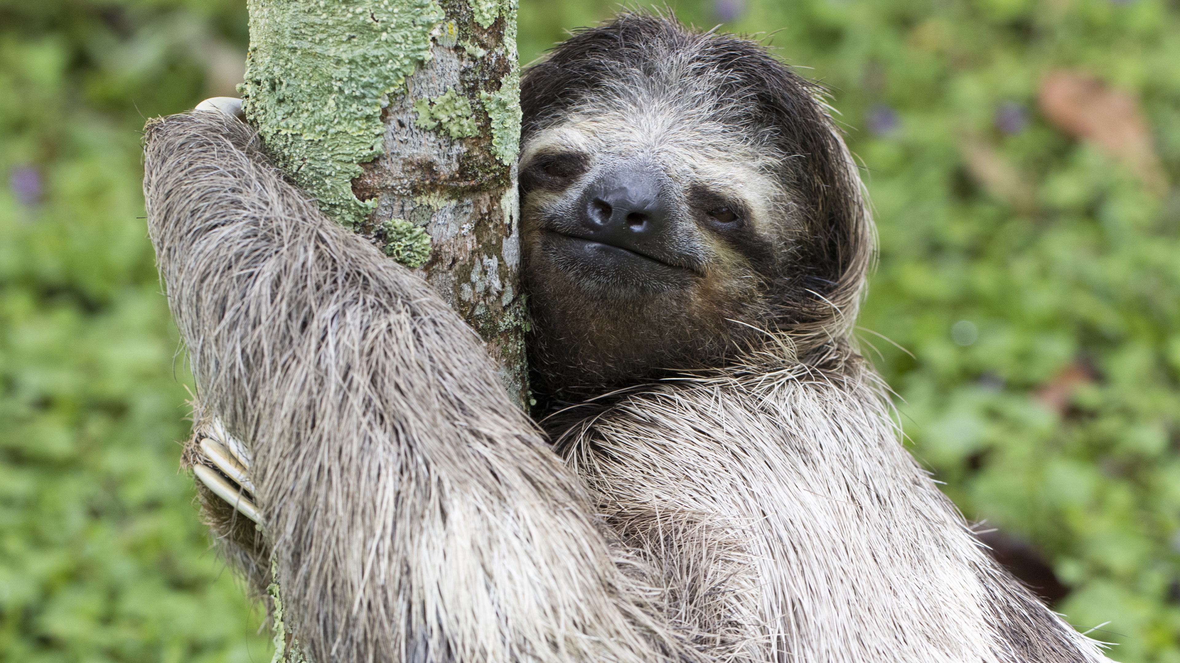 Born to Be a Tree Hugger: Embracing Nature from Day One