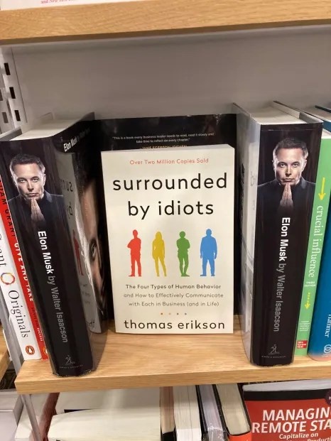 Inspired by Bluesky: A Library's Thoughtful Book Arrangement