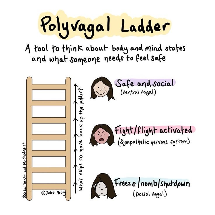 Embracing Polyvagal Presence