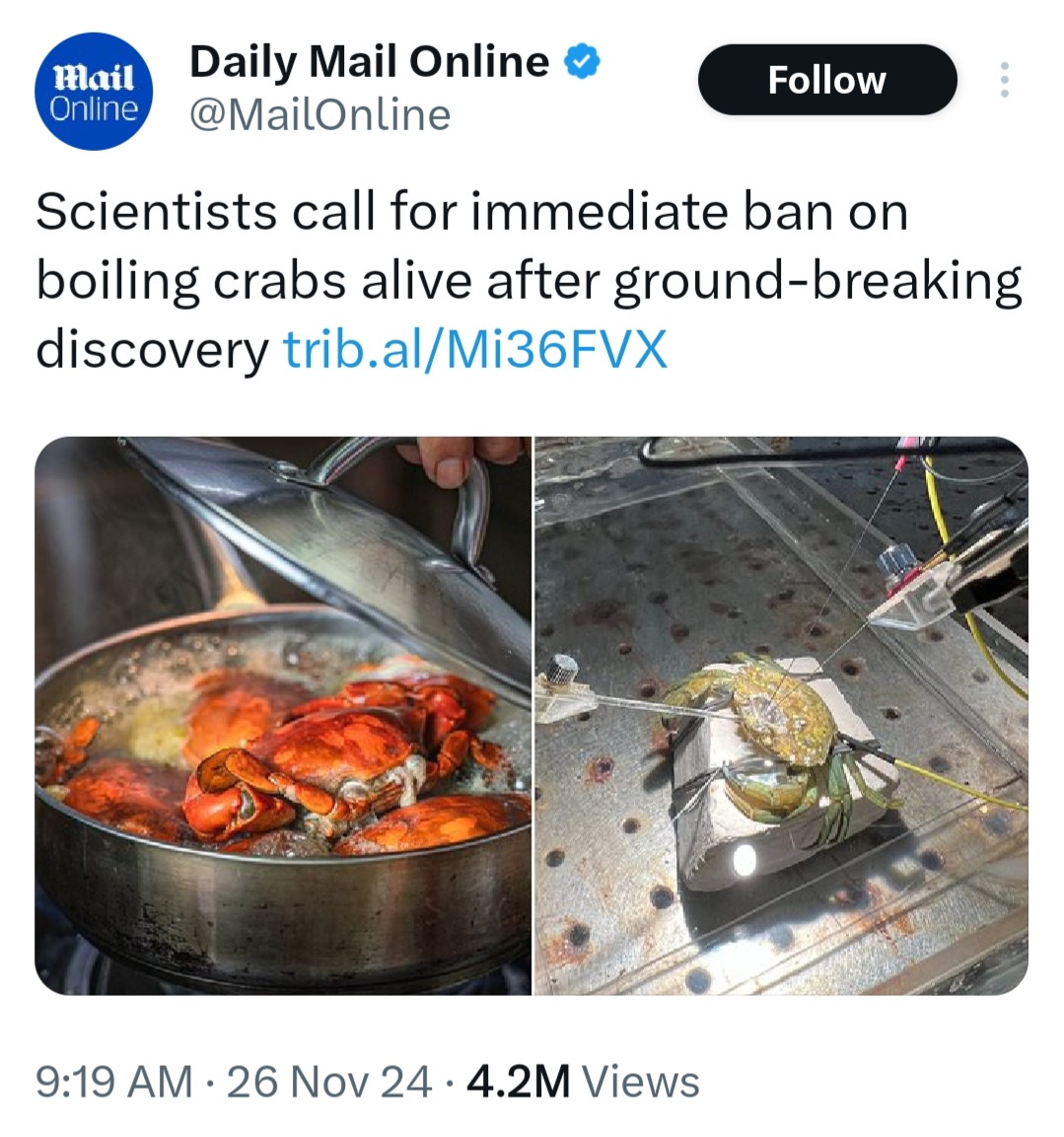 Can you believe it took until 2024 for people to acknowledge that animals experience pain?