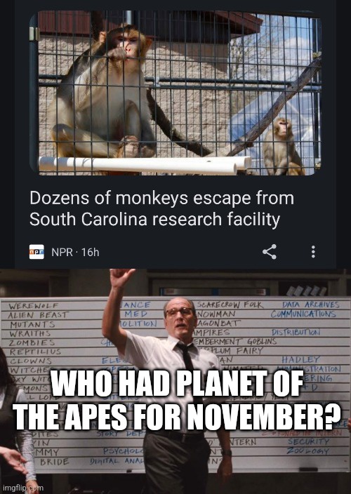 The Rise of the Monkeypocalypse: A Hilarious Take