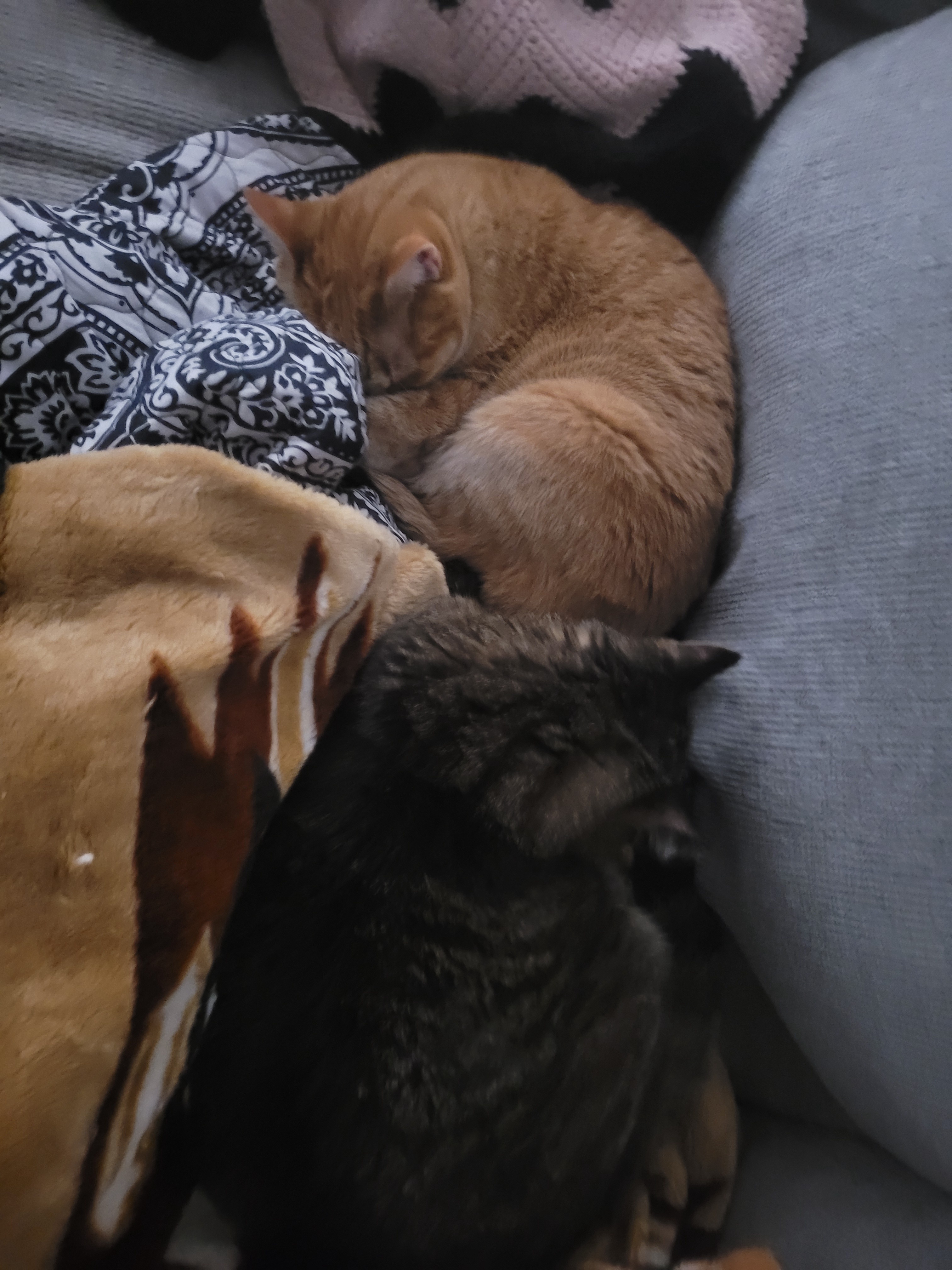 From a Rough Start to an Adorable Ending: What a Day!