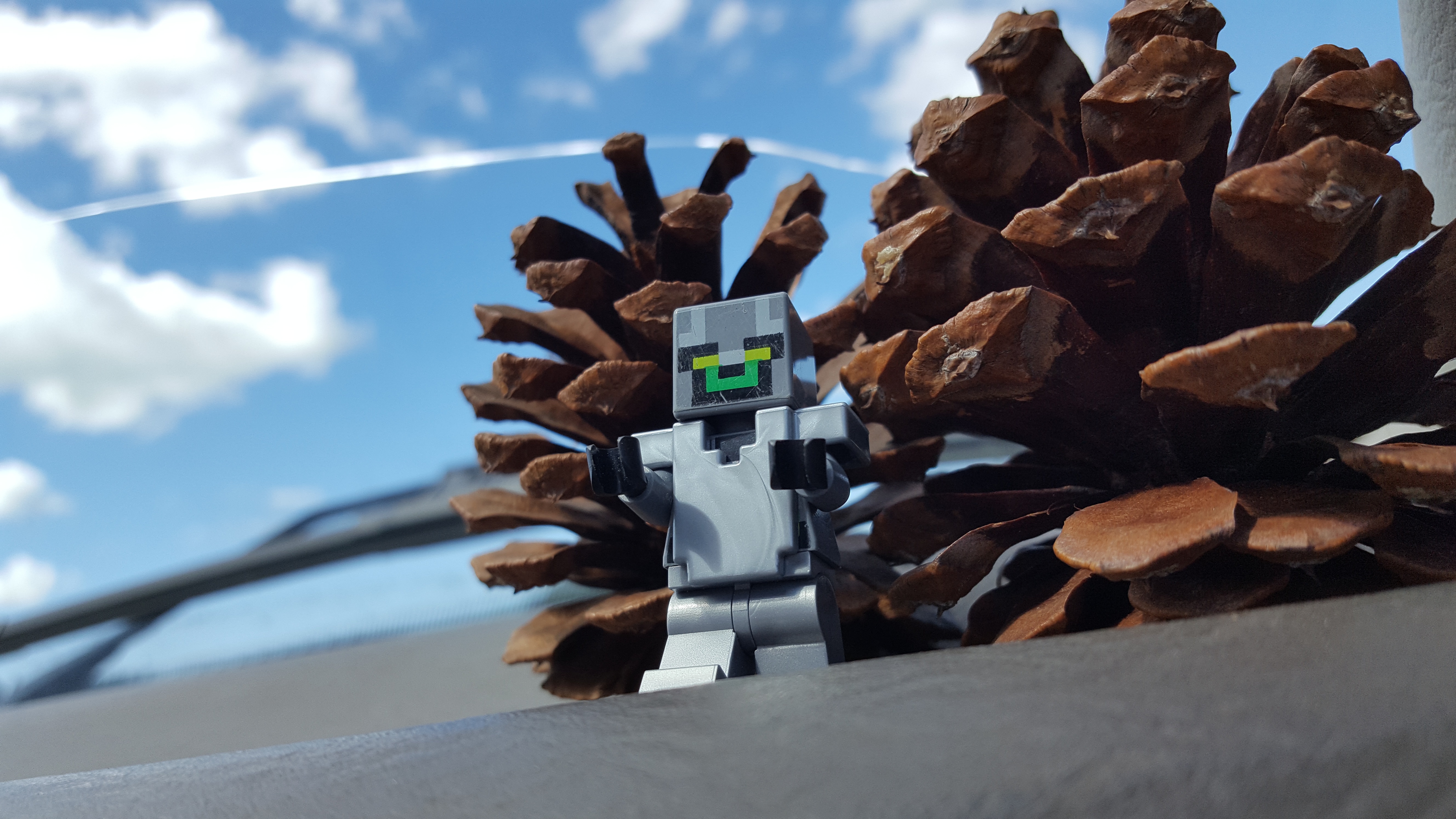 Join the excitement with #TeamPinecone!!!