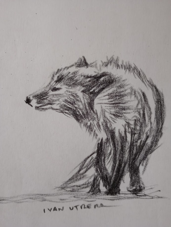 The Enigmatic Charm of the Fox