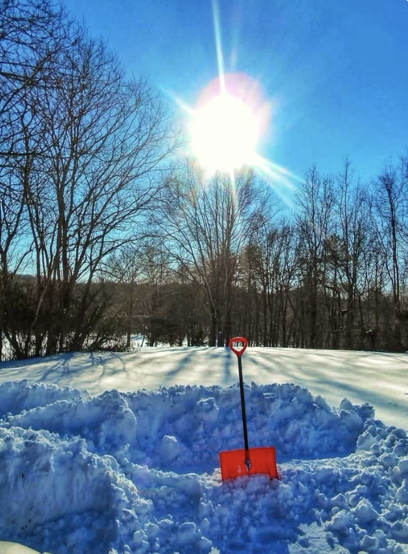 Embracing the Beauty of Winter's Chill