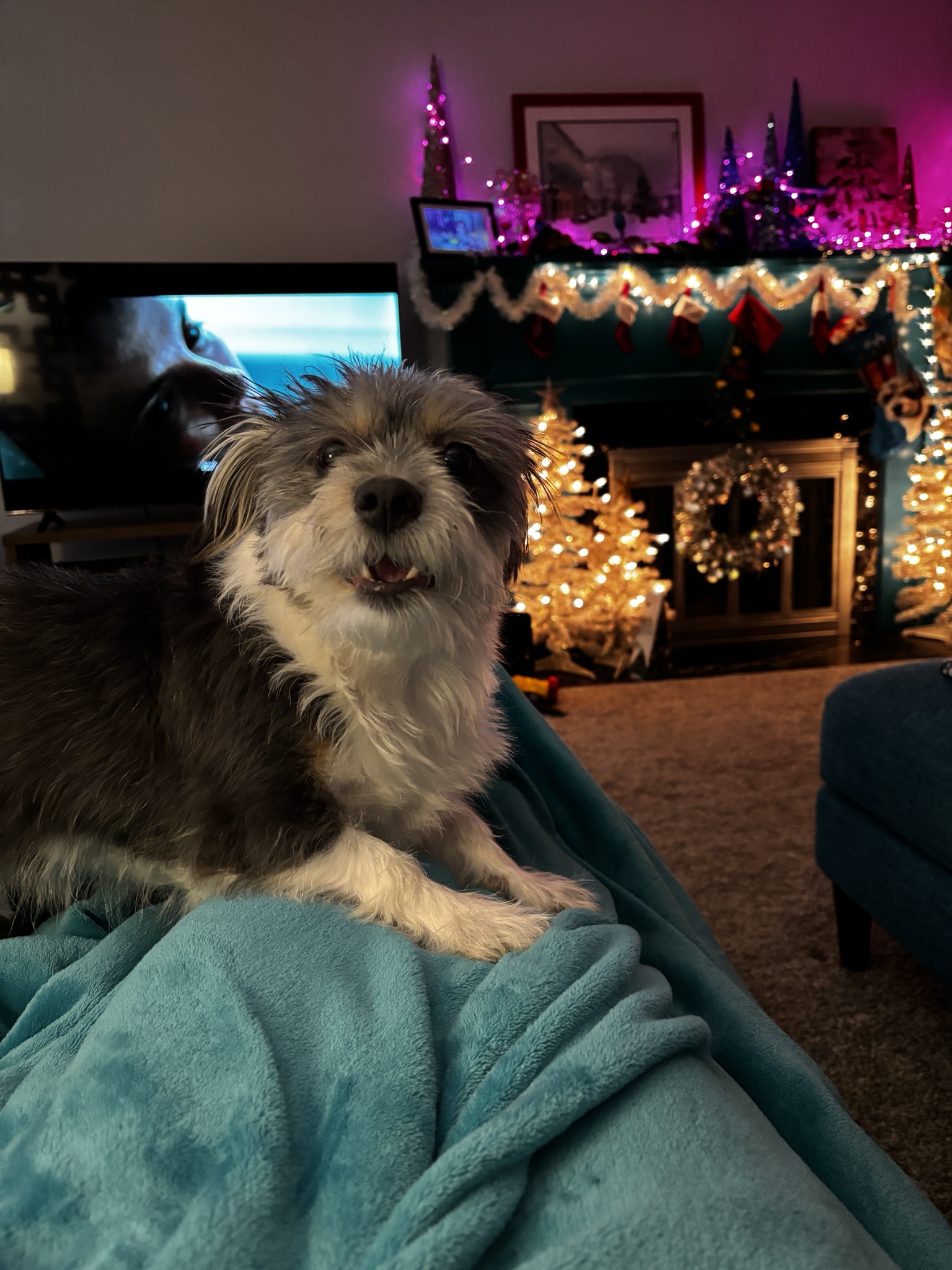 Rigby Ragazzo's Exciting Update for Today