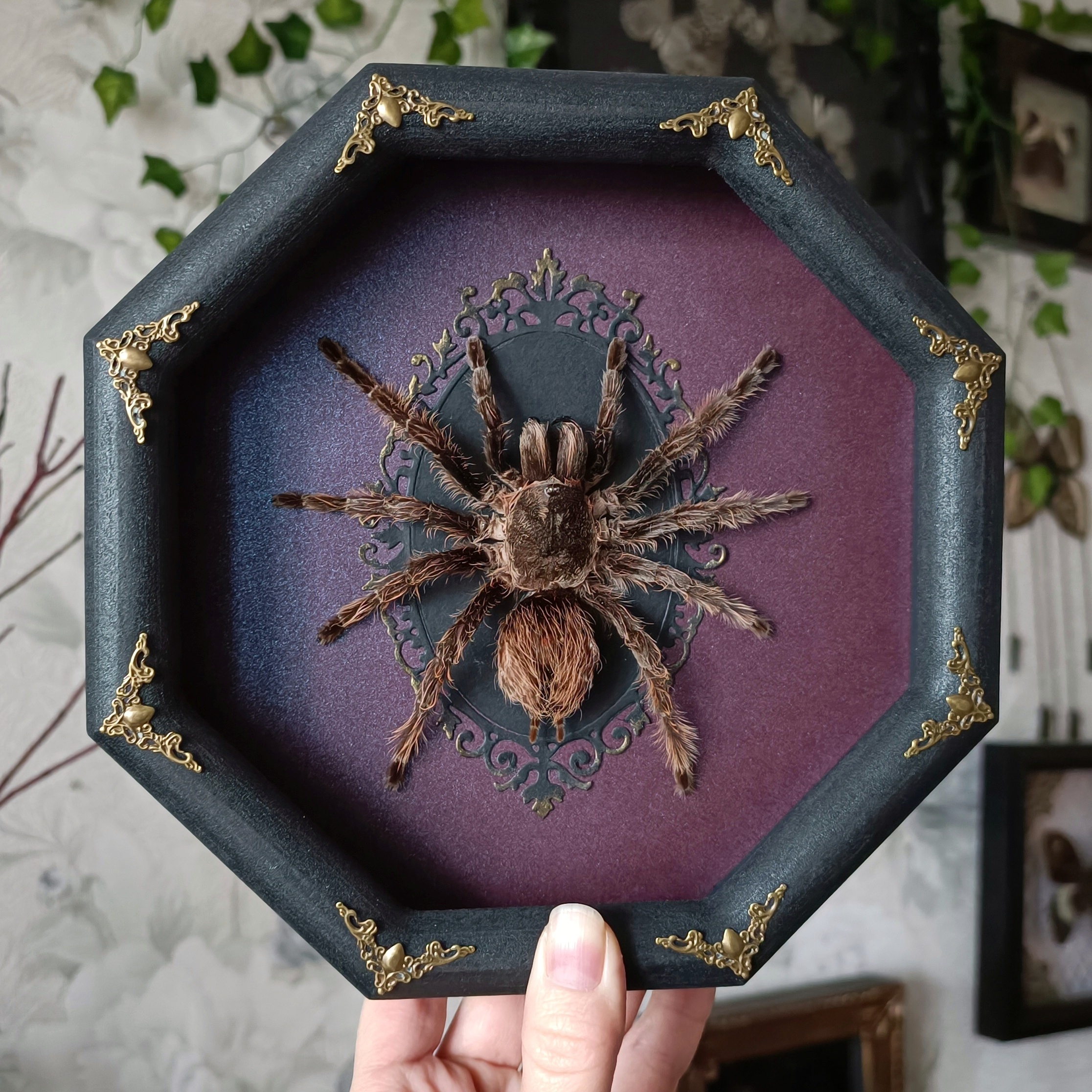 Check Out My Latest Art Pieces! Which One Captivates You the Most? 1-6