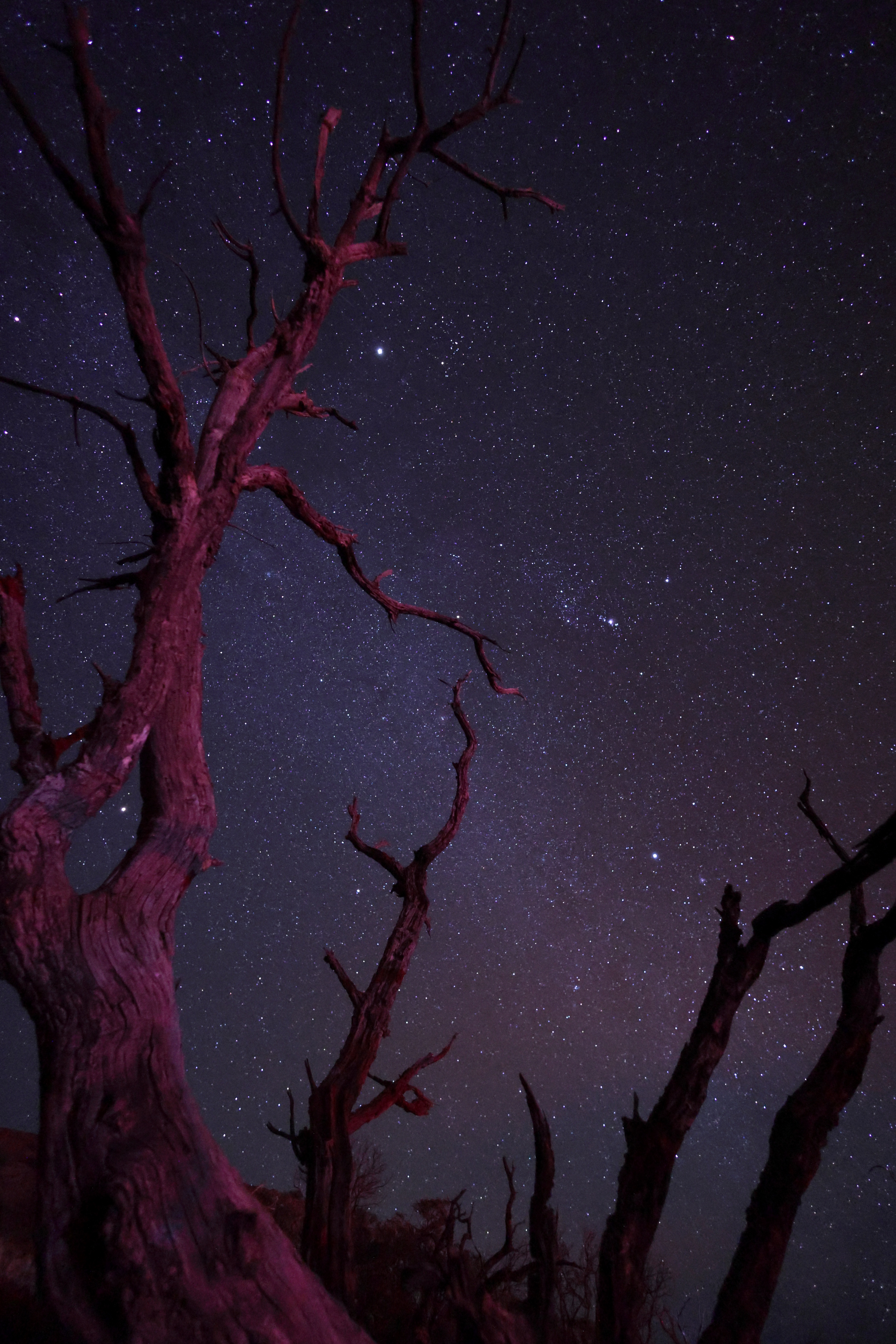 Breathtaking Views from Mauna Kea, Big Island