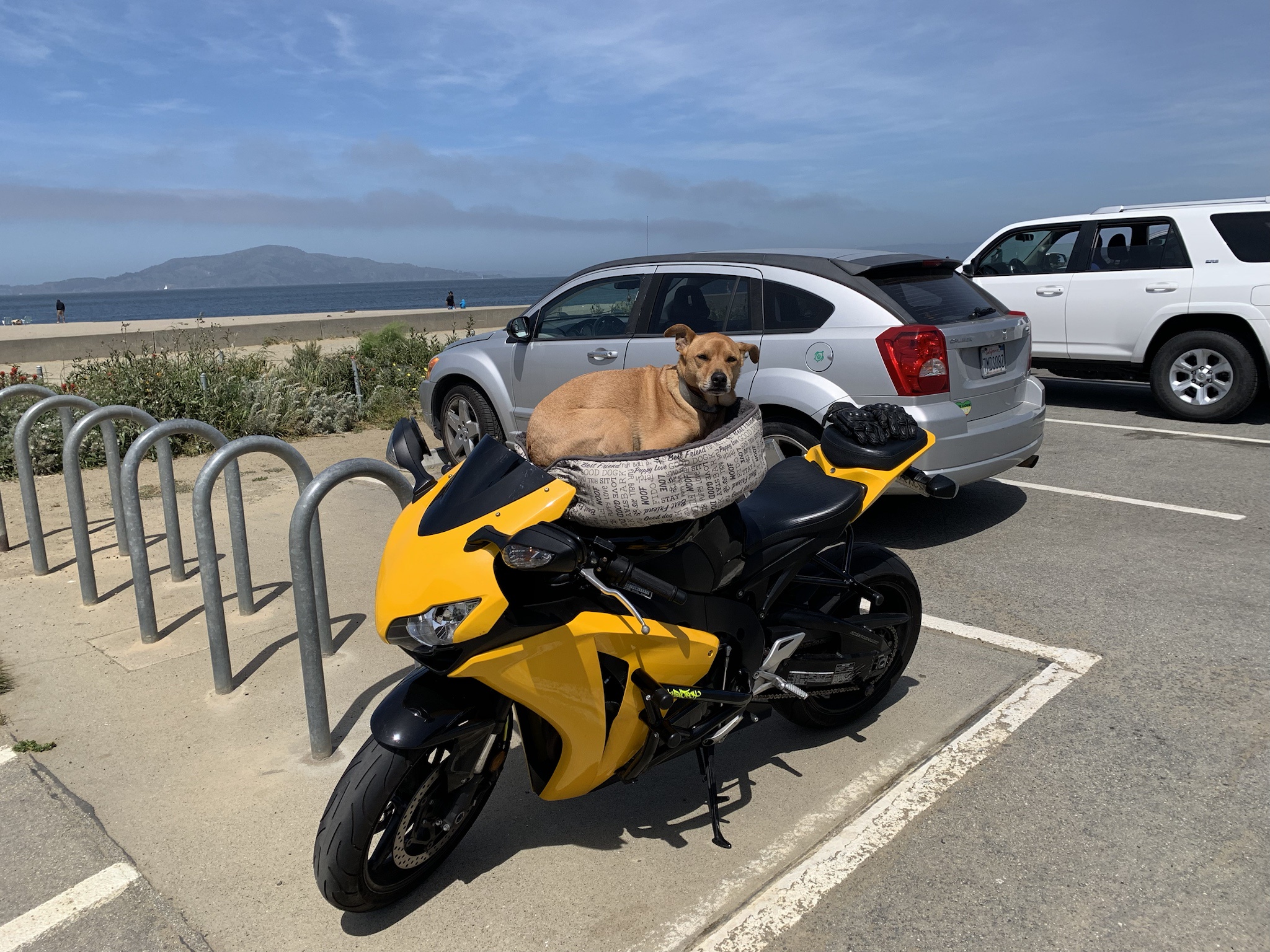 PJ taking a ride on the Fireblade!
