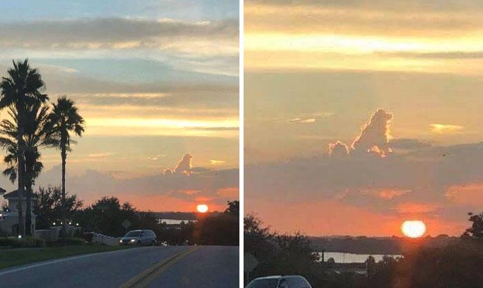 The Heartwarming Journey of All Dogs to the Afterlife