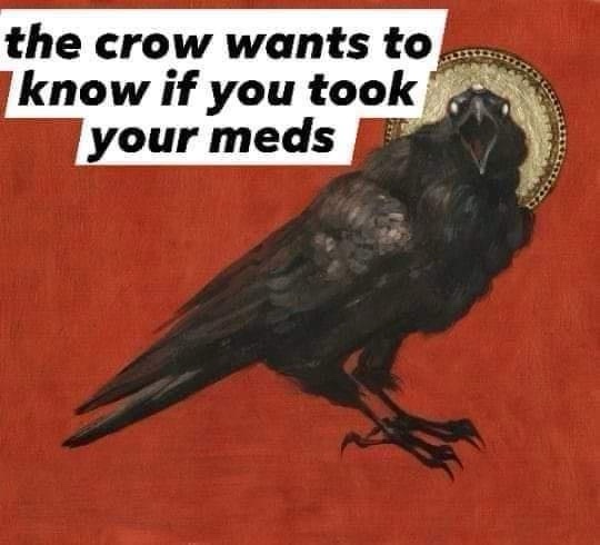 Wishing a Happy Corvid Friday to Those Feeling a Bit Lonely
