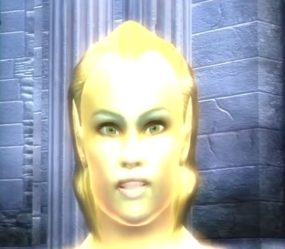 "I heard thieves hit the Arcane University, the Imperial Legion Compound, and the Temple all in one night! Let me try that again." - Tandilwe