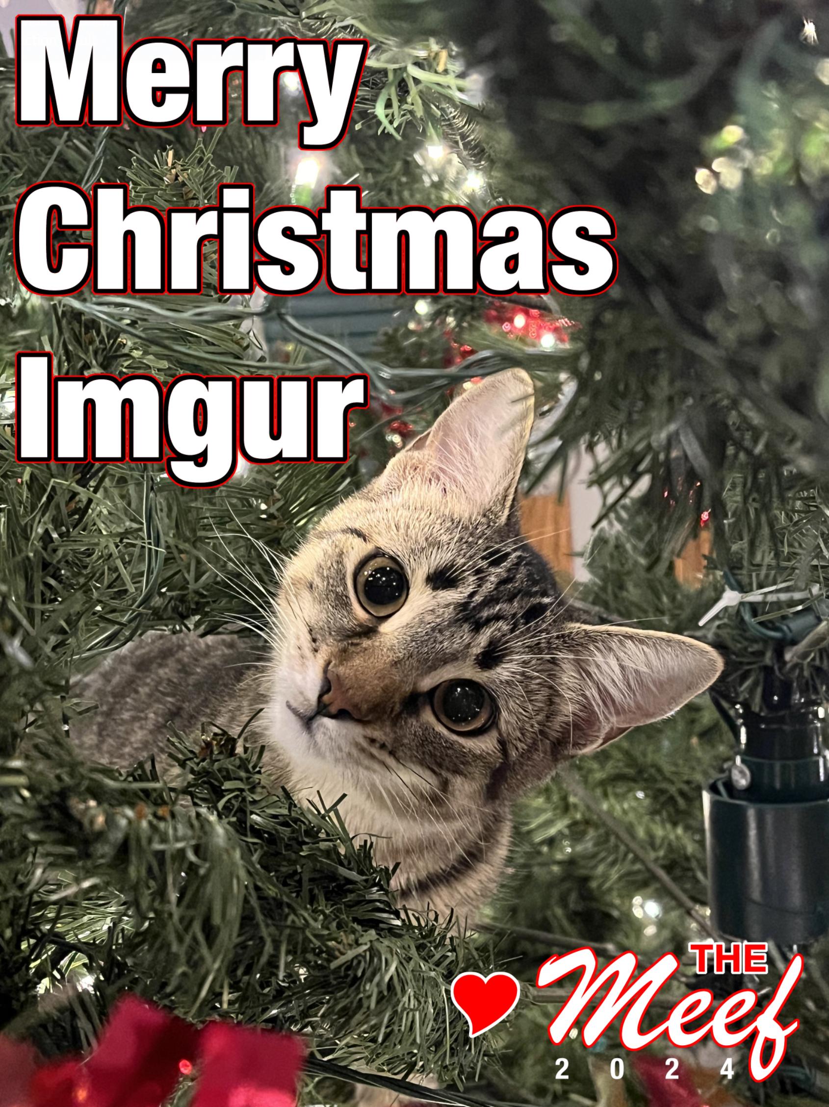 Wishing You a Merry Christmas and a Joyous New Year!