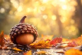 Join the Acorn Squad!