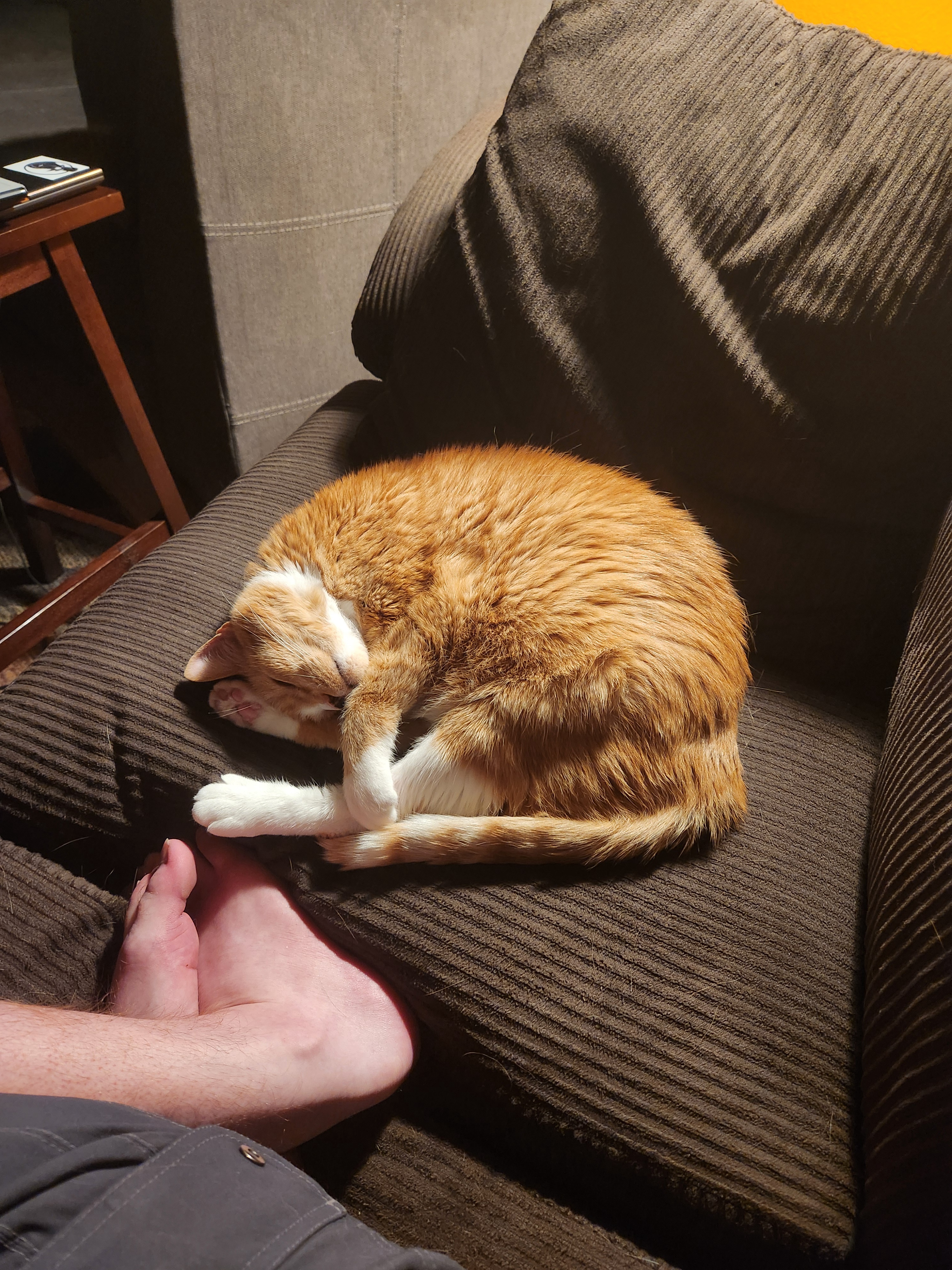 Mastering the Art of Sleeping in Advanced Yoga Poses