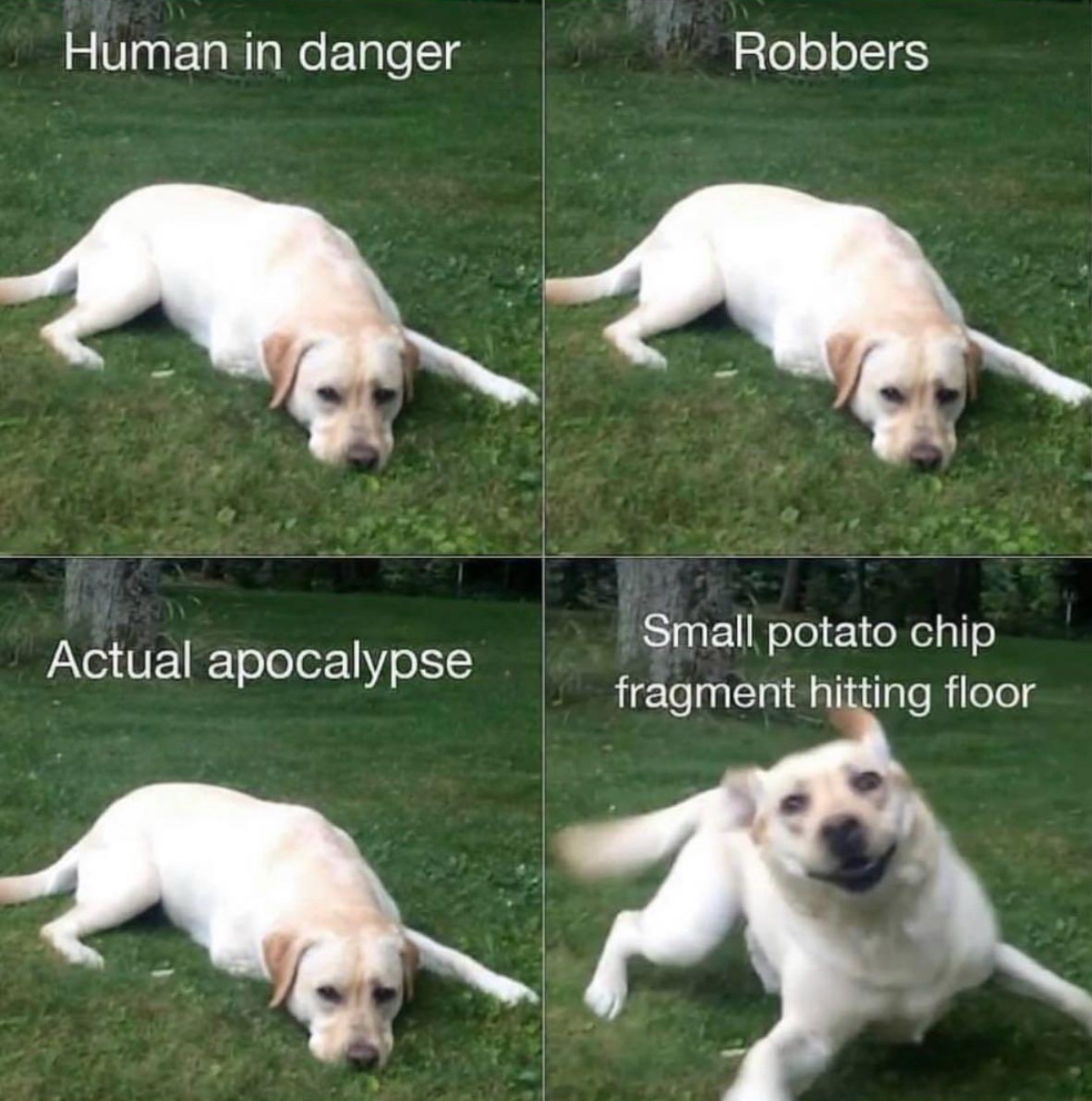 Absolutely True Facts!
