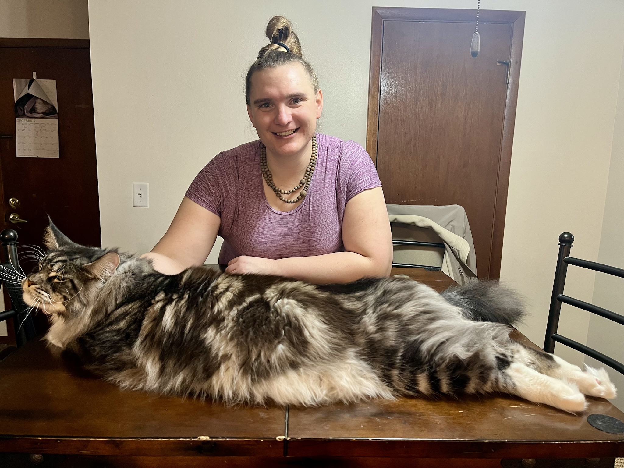 Celebrating Caturday Birthday Style!