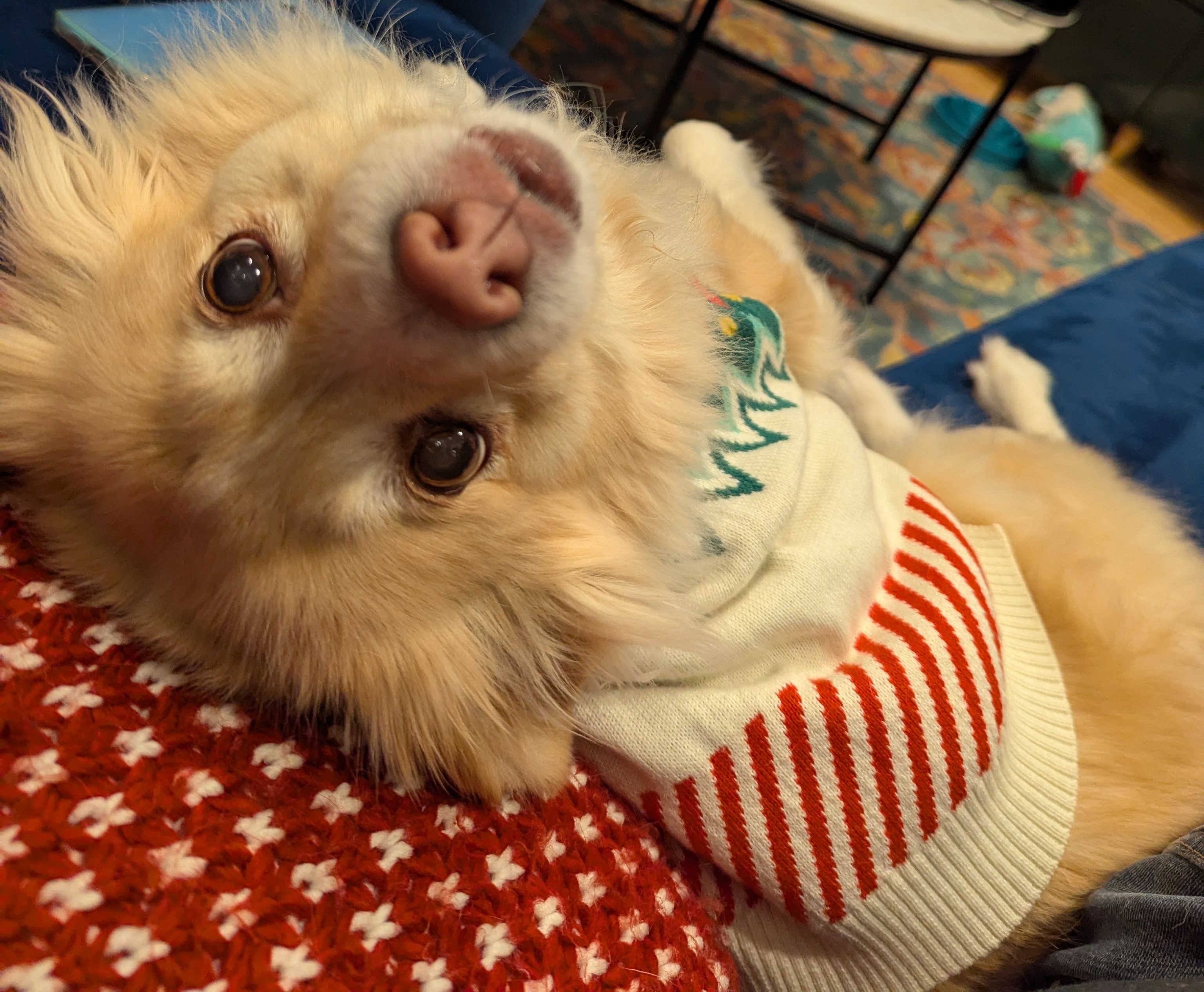 Lulu's Intermission: A Pause for Reflection
