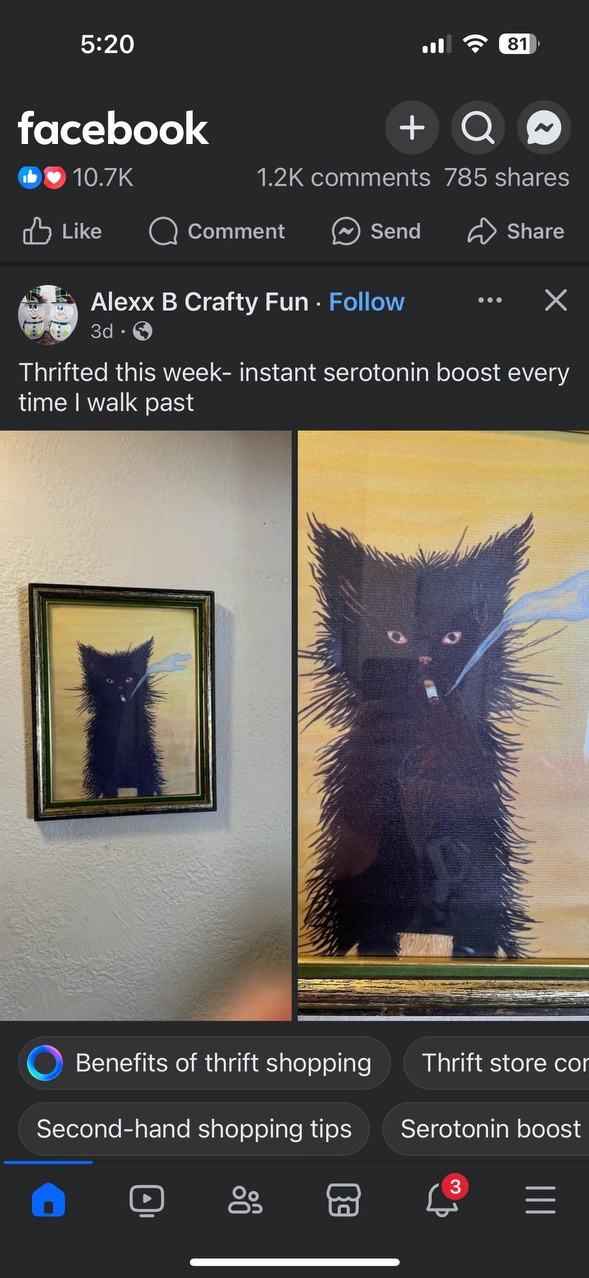 A delightful burst of serotonin, part 4