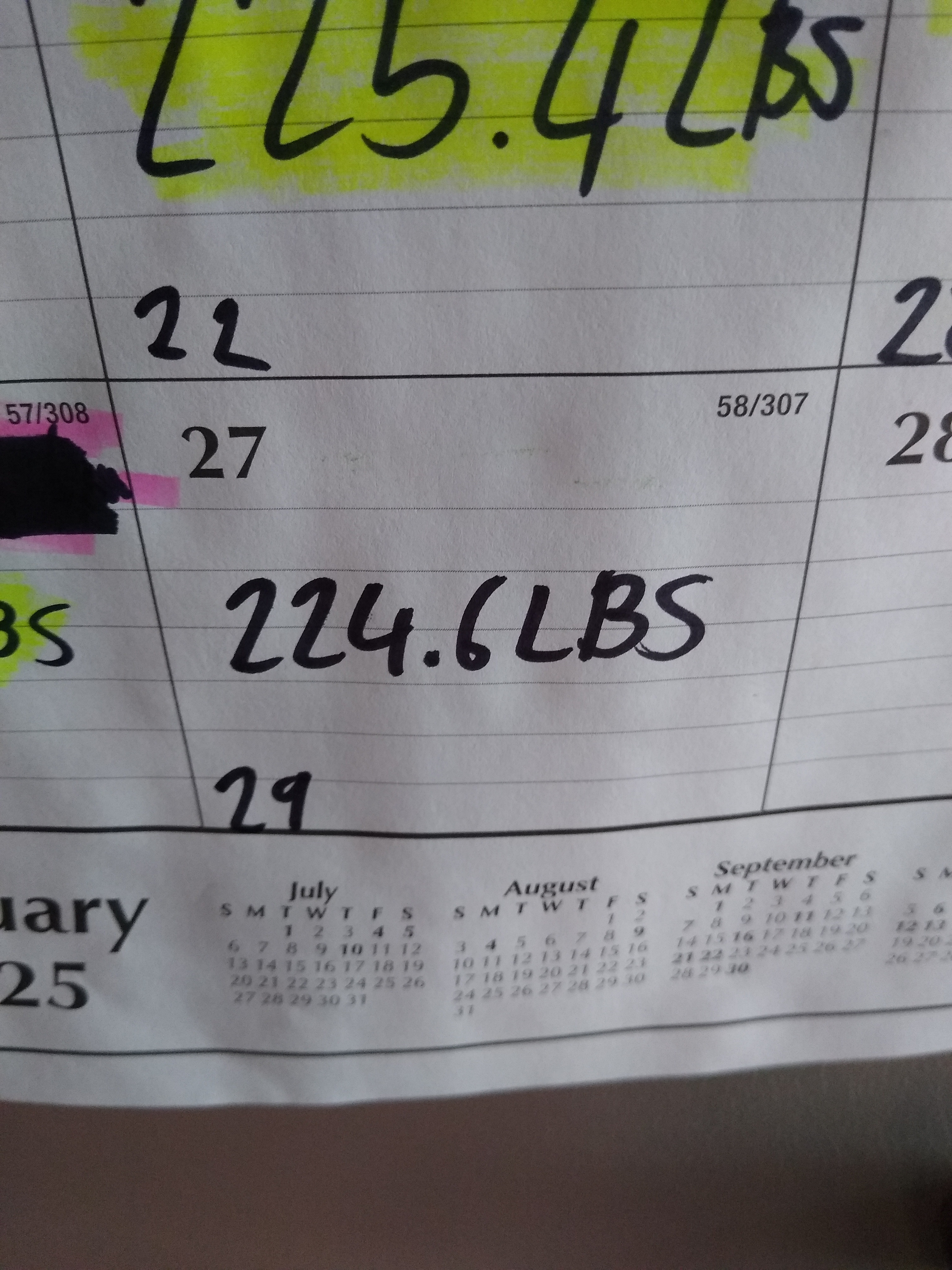 Tracking My Journey: Daily Weigh-In on Day 29