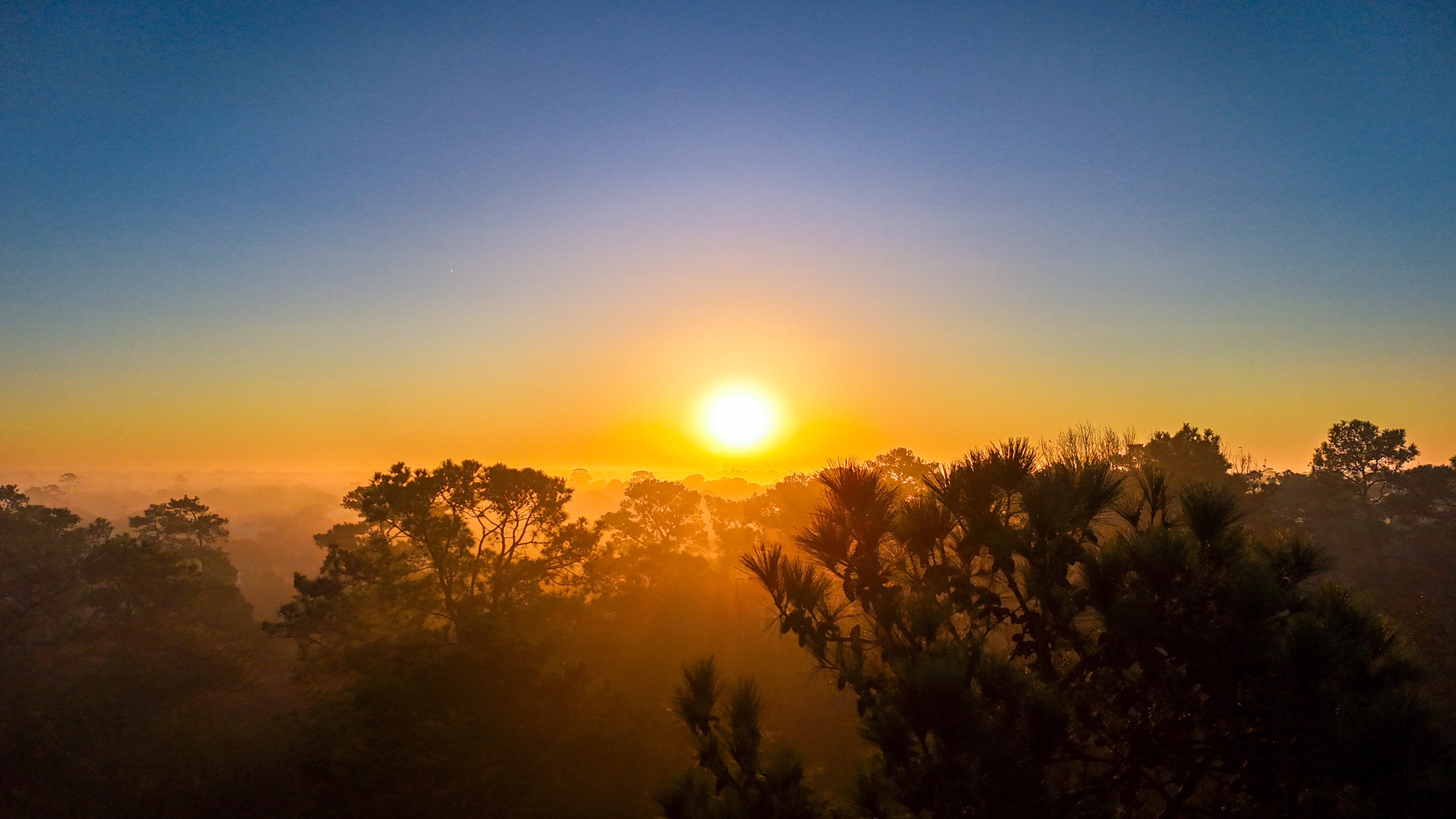 Basking in the Beauty of a Sunday Morning Sunrise