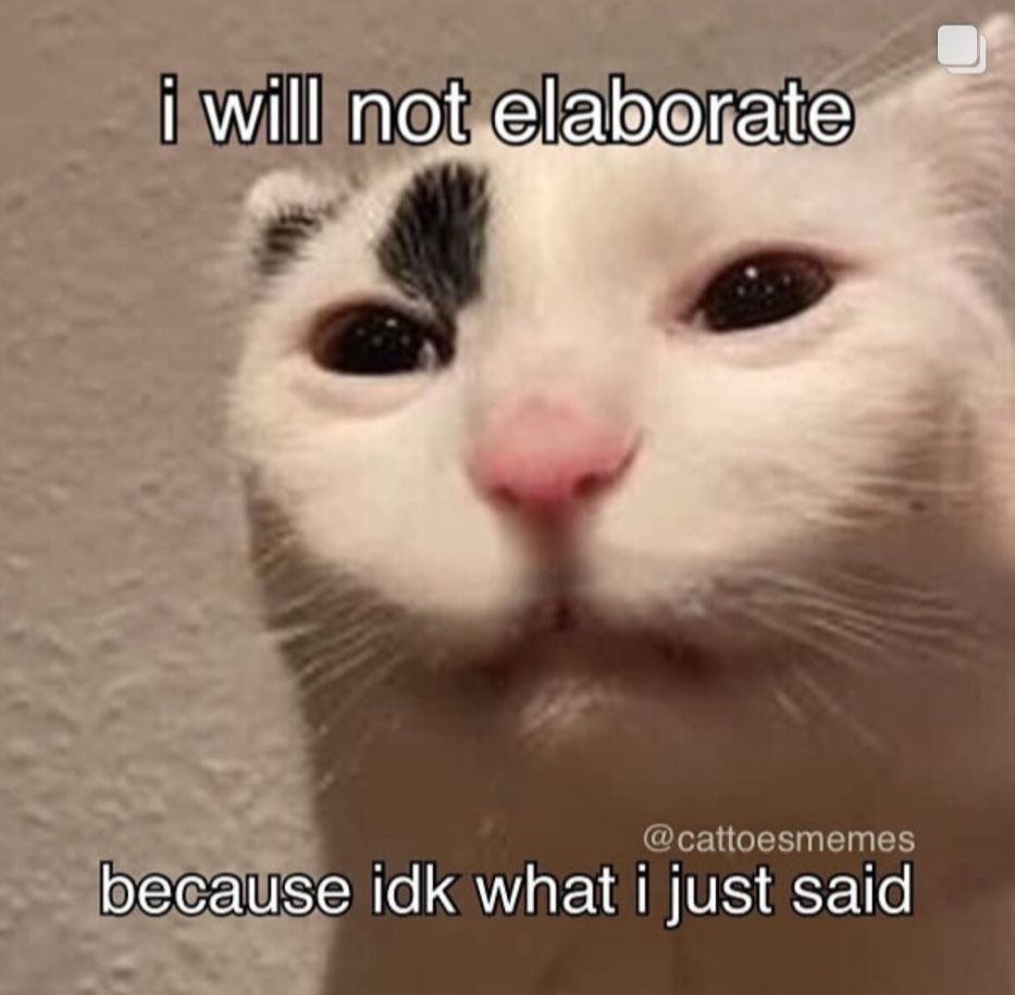 Revamped Cat Memes Collection [5]