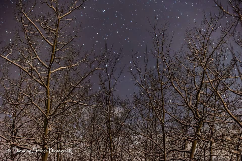 Stargazing Under the Colorado Night Sky