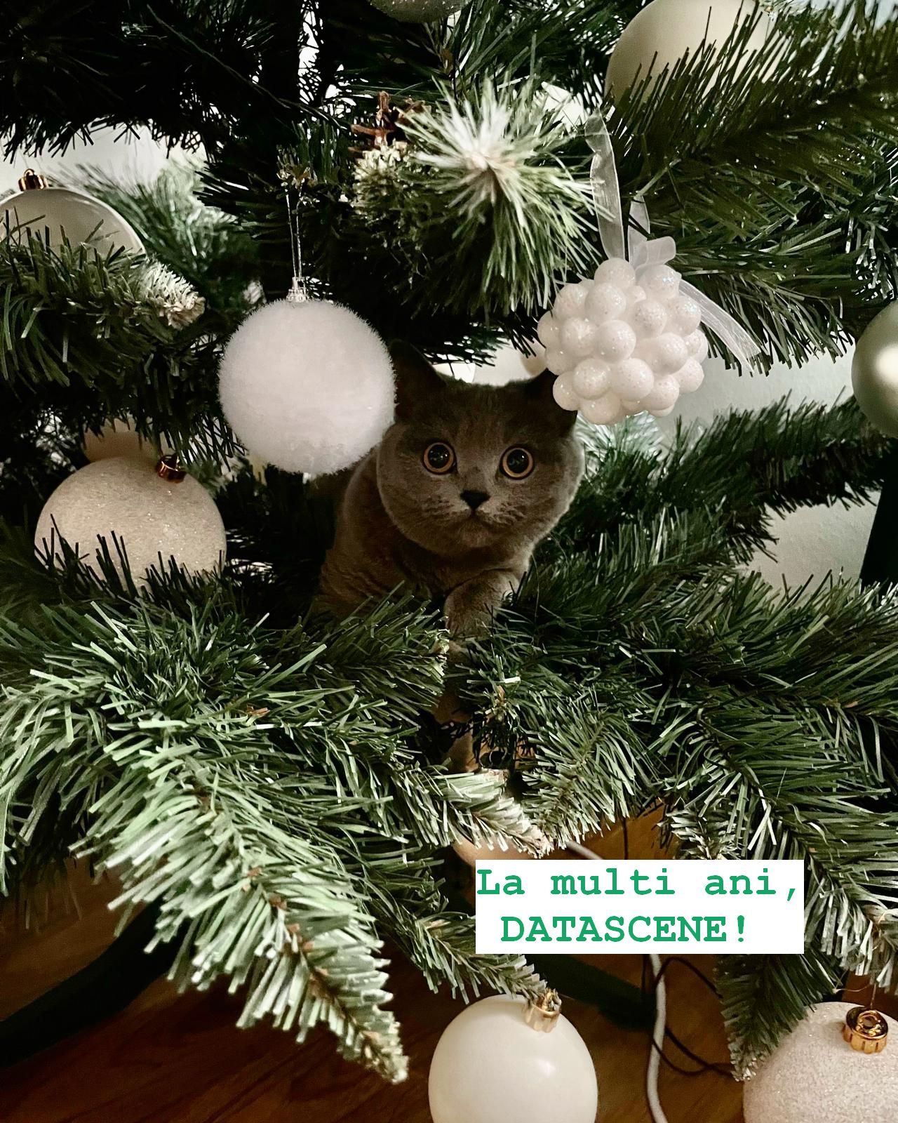 Happy Holidays to you all!