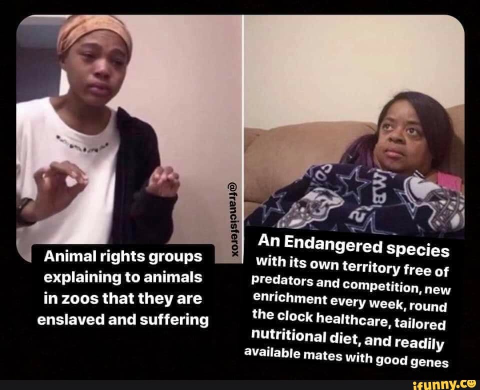 Why Great Zoos Make All the Difference