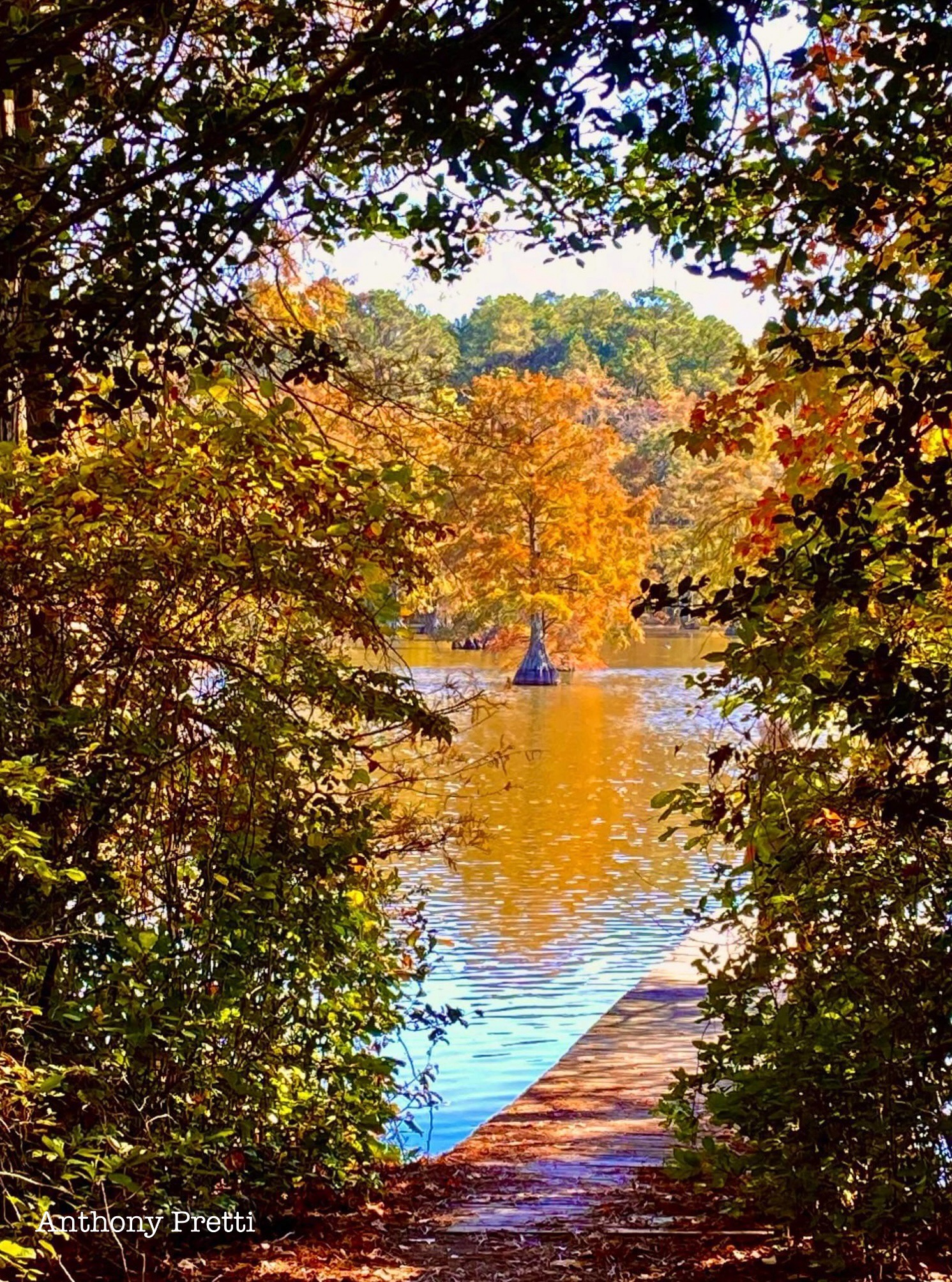 The Essence of Autumn Captured