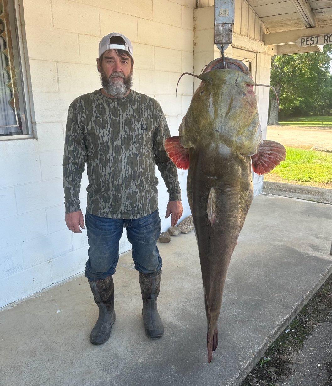 The Tale of the Big Fish