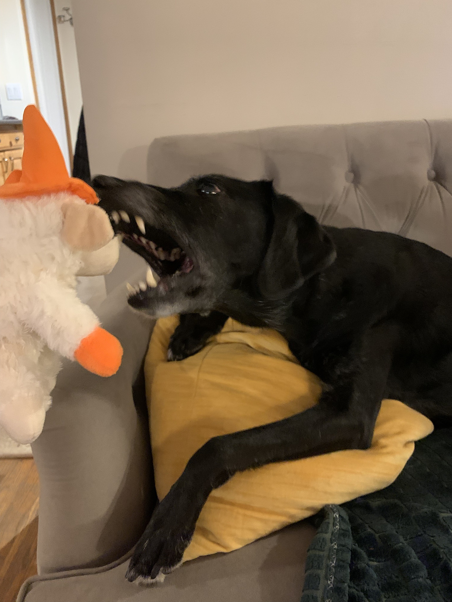The Epic CHOMP Moment