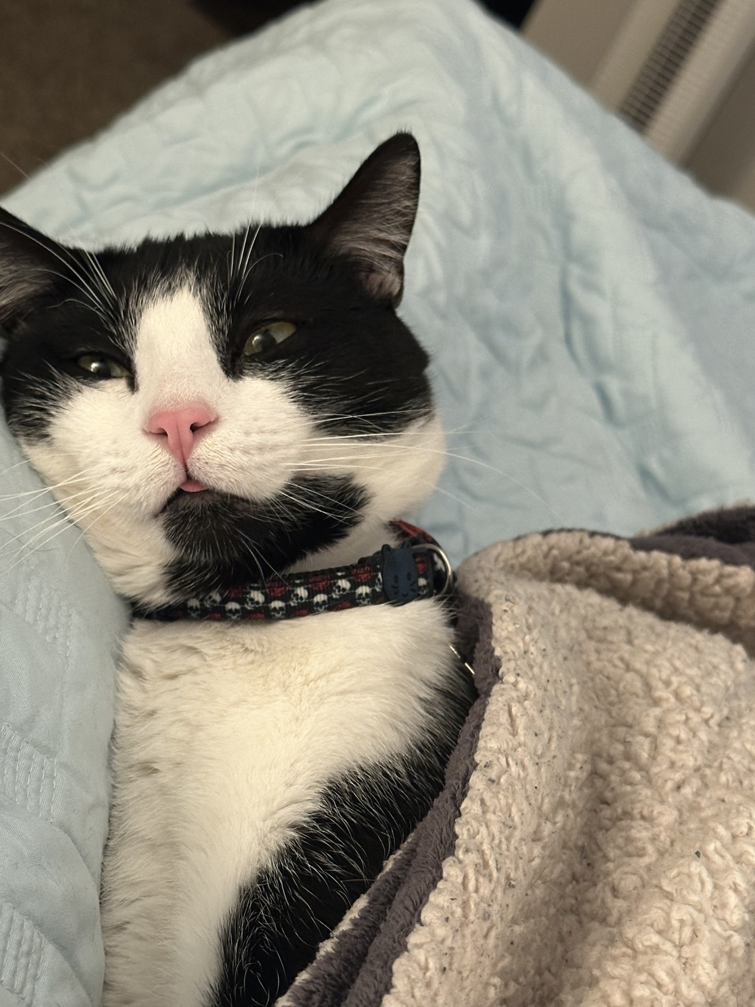The Ultimate Comfy Boy Vibes