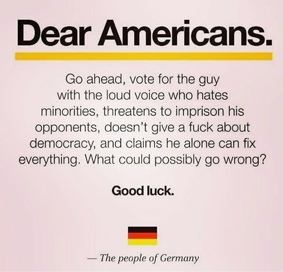 A Glimpse from Germany: Reflecting on the First Election of Their Hitler in 2016