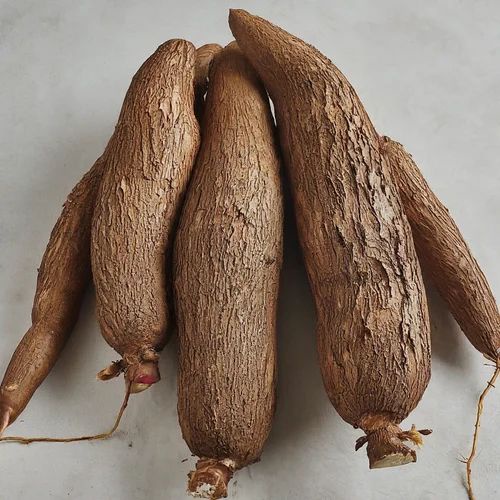 The Versatile Cassava Root: Nature's Hidden Gem