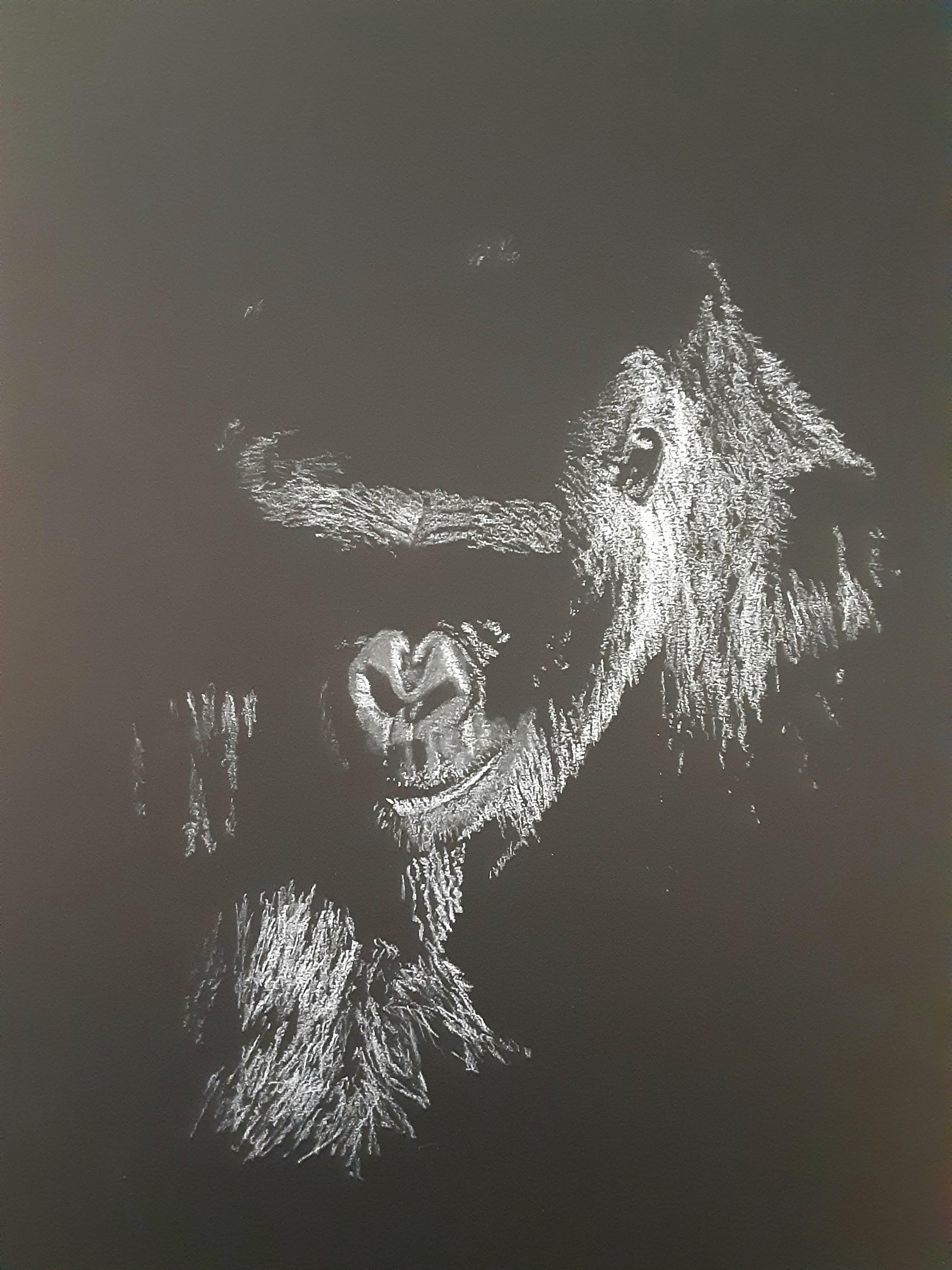 A Colorful Portrait of a Gorilla
