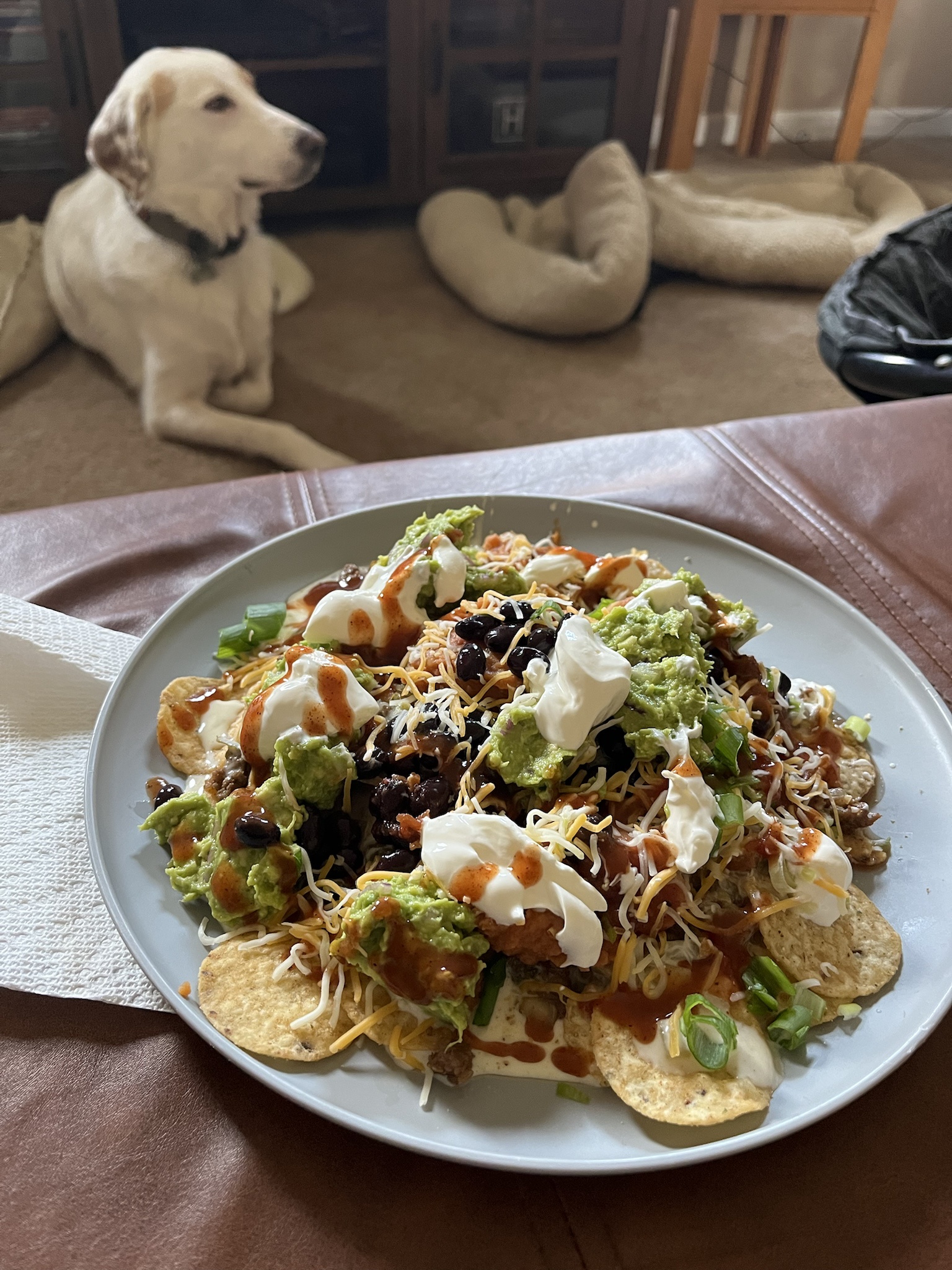 Enjoying Nachos with My Loyal Dog Ranger