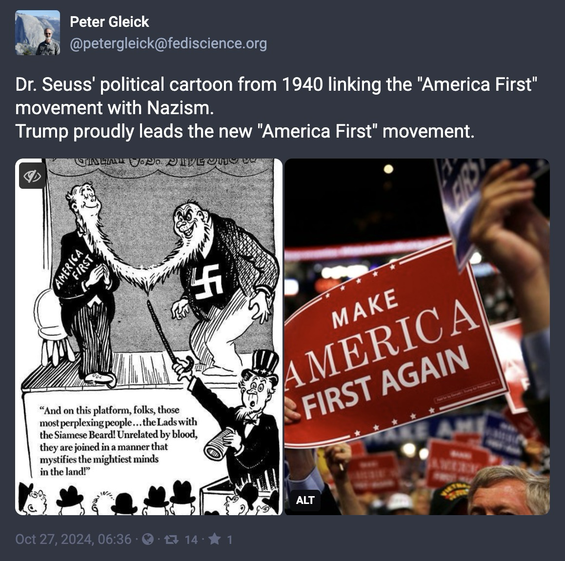 Unpacking the Truth: How 'America First' Echoes Nazism