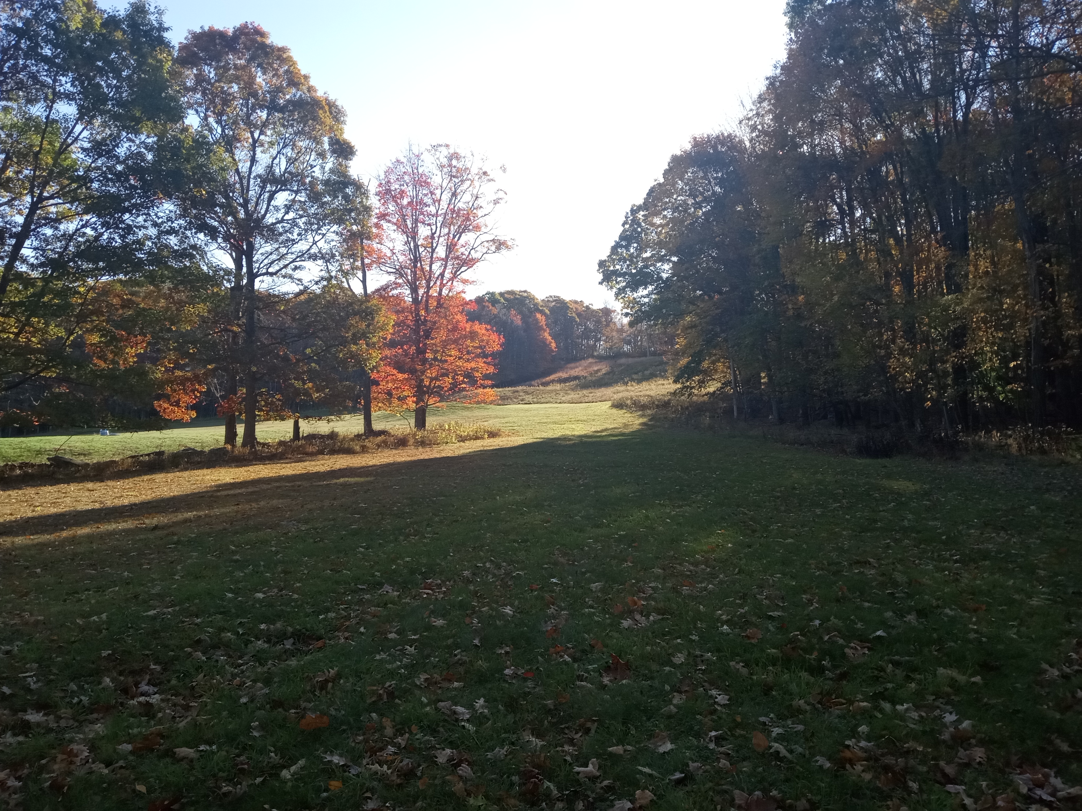 Join Us at Alpine Lake Resort in Terra Alta, WV on October 19, 2024