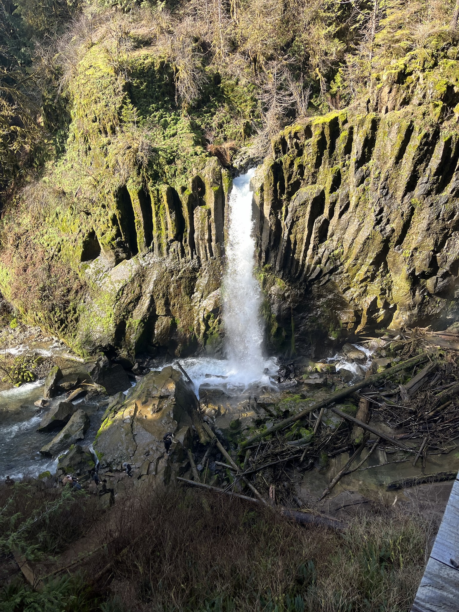 The Stunning Beauty of Oregon Captured