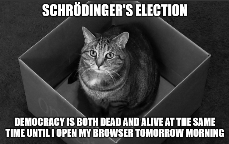 The paradox of Schrödinger's Election.